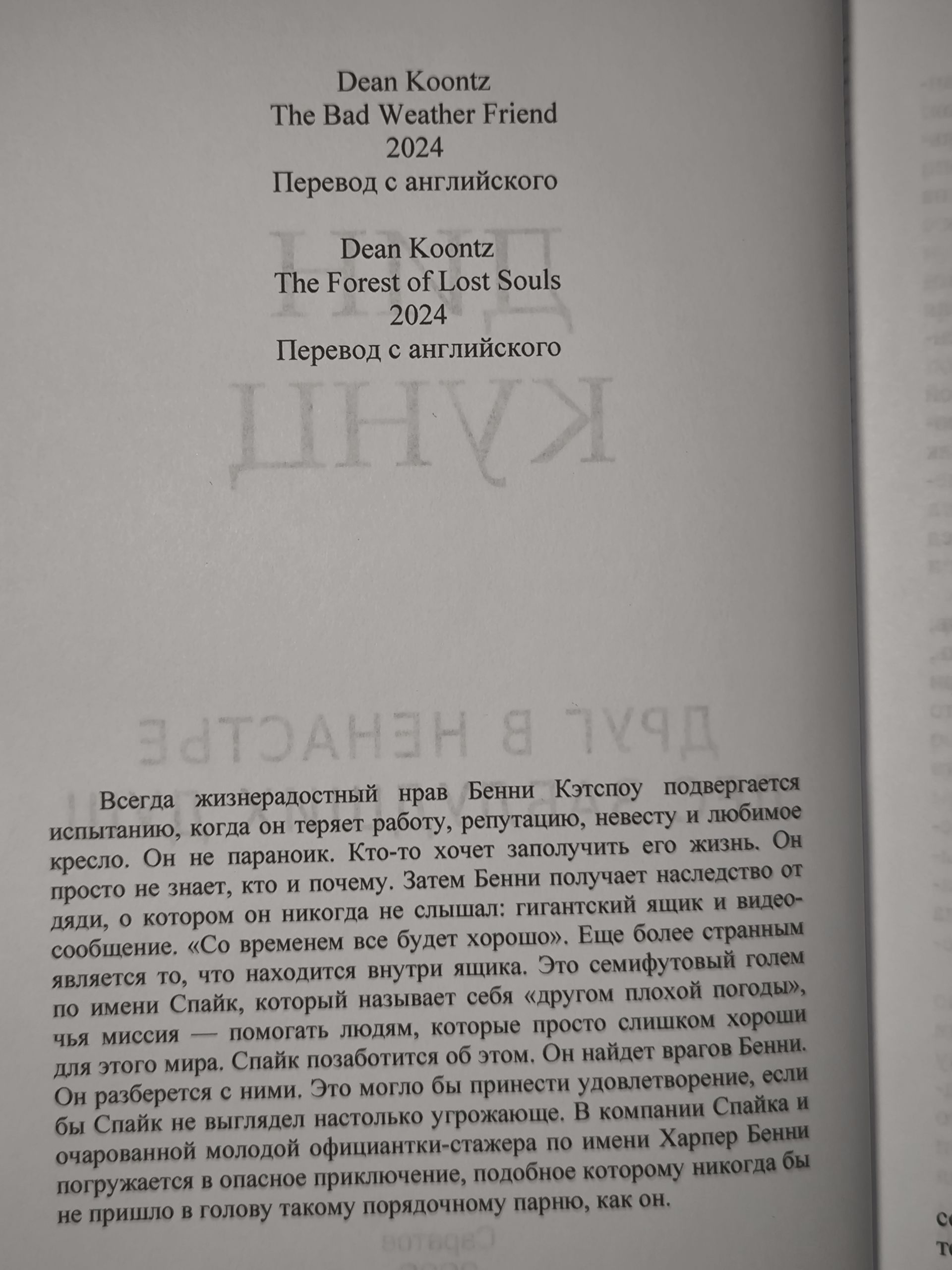 Кунц Дин. Друг в ненастье , Лес заблудших душ . — изображение 3