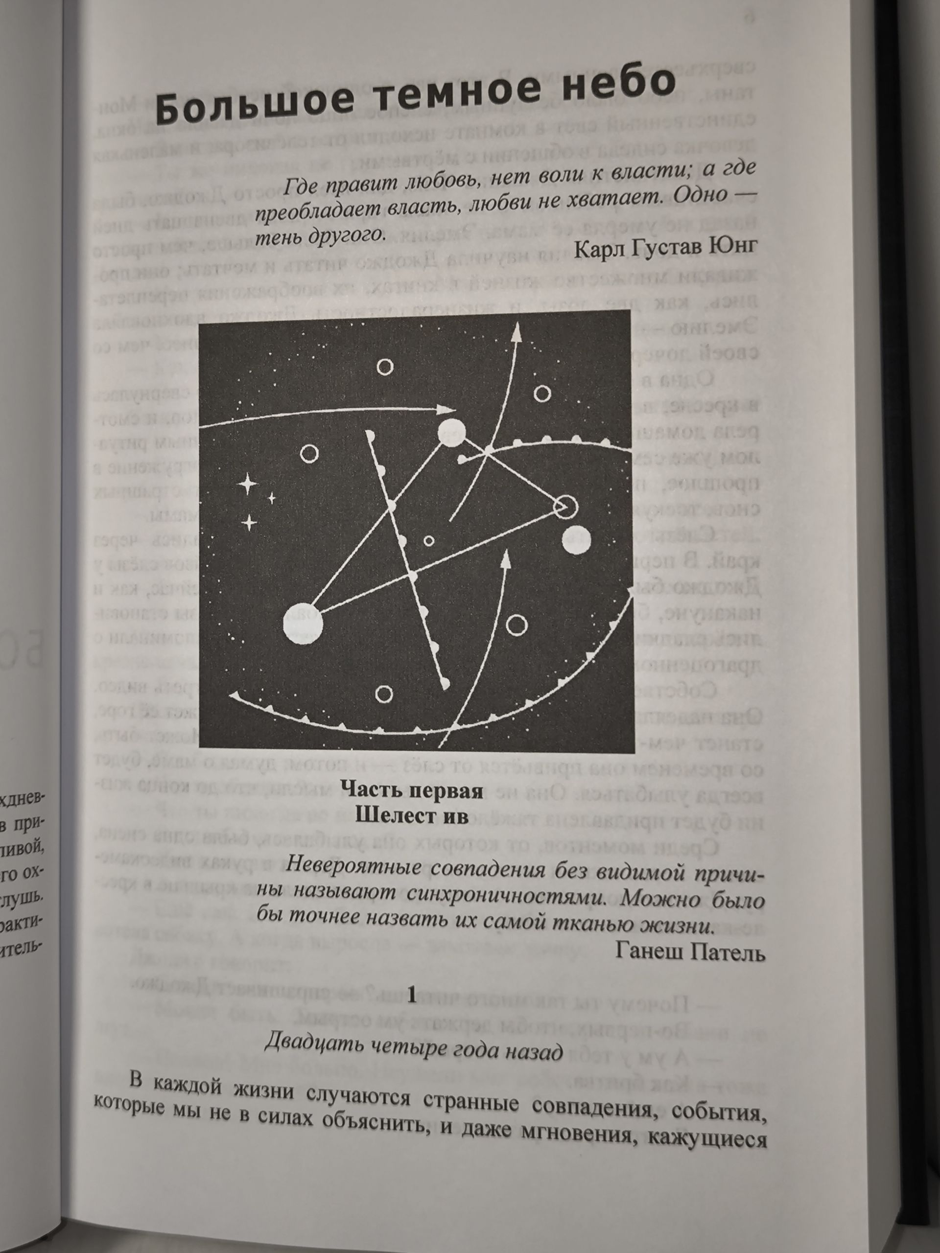 Комплект из 8 книг: Кривая лестница. Запретная дверь. Ночное окно. Другая Эмили. Оборотень среди нас. Кровавый риск. Большое тёмное небо. Киксильвер Друг в ненастье. Лес заблудших душ. Дом на краю света — изображение 20