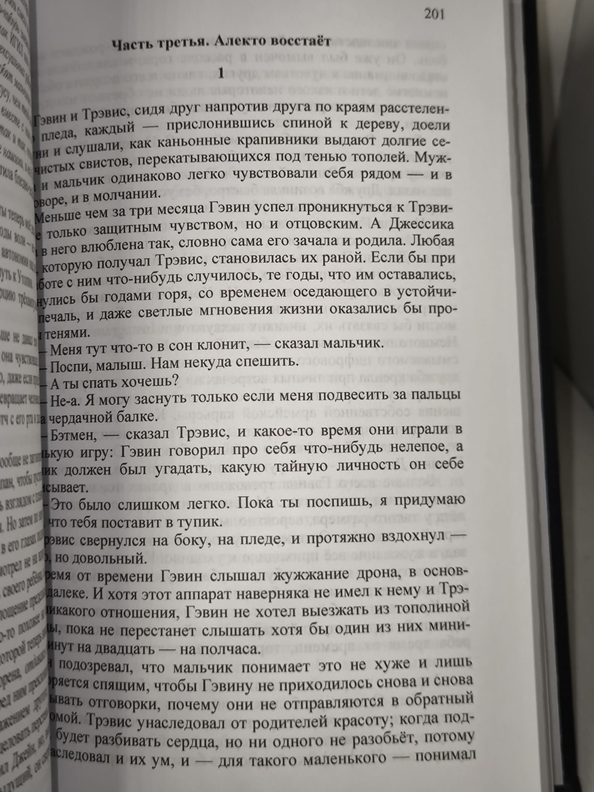 Комплект из 8 книг: Кривая лестница. Запретная дверь. Ночное окно. Другая Эмили. Оборотень среди нас. Кровавый риск. Большое тёмное небо. Киксильвер Друг в ненастье. Лес заблудших душ. Дом на краю света — изображение 7