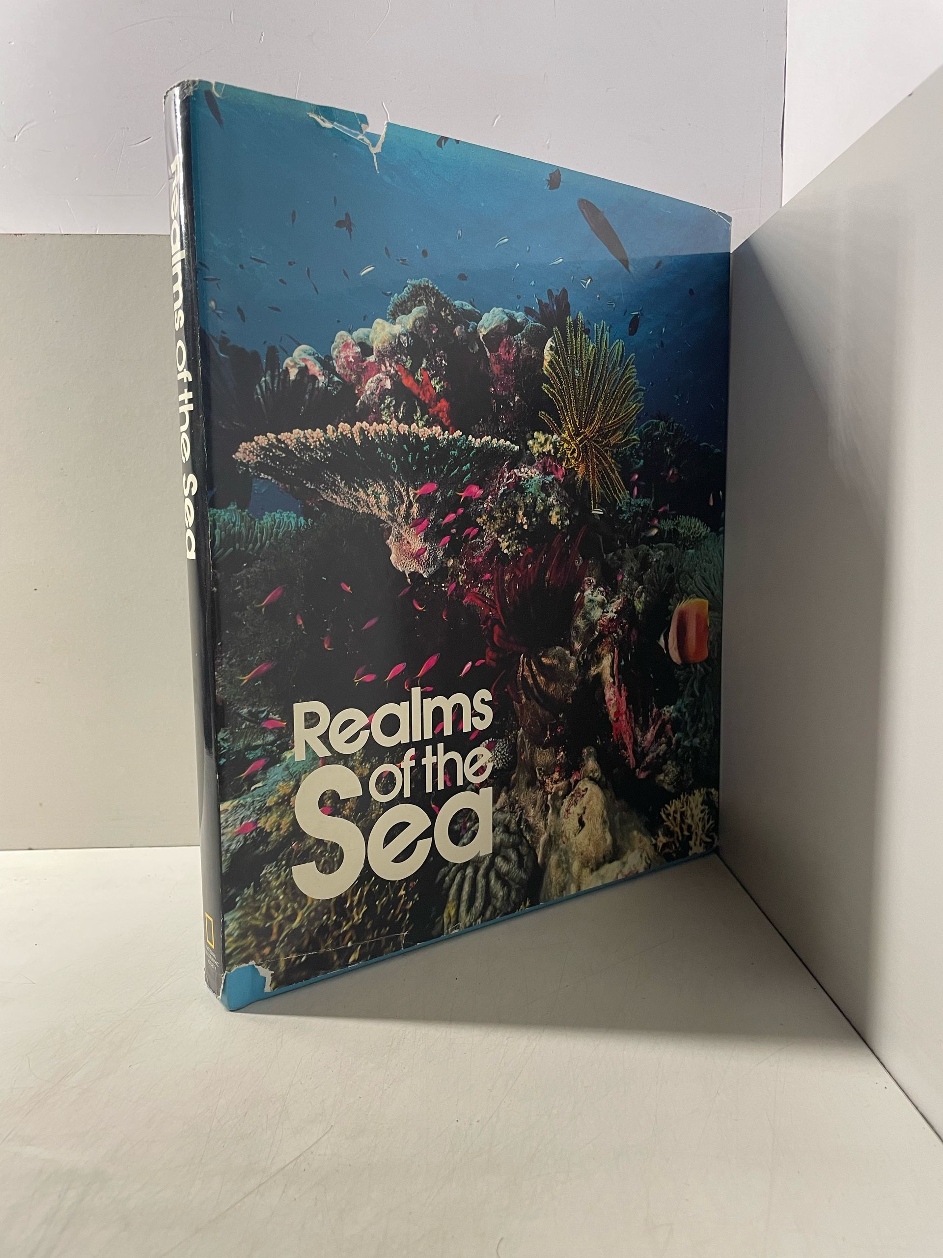 Realms Sea Морское царством — изображение 2