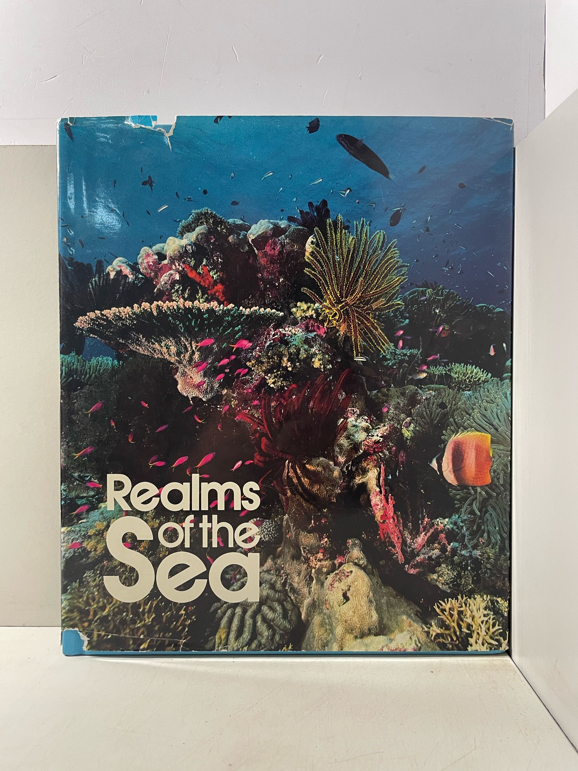 Realms Sea Морское царством