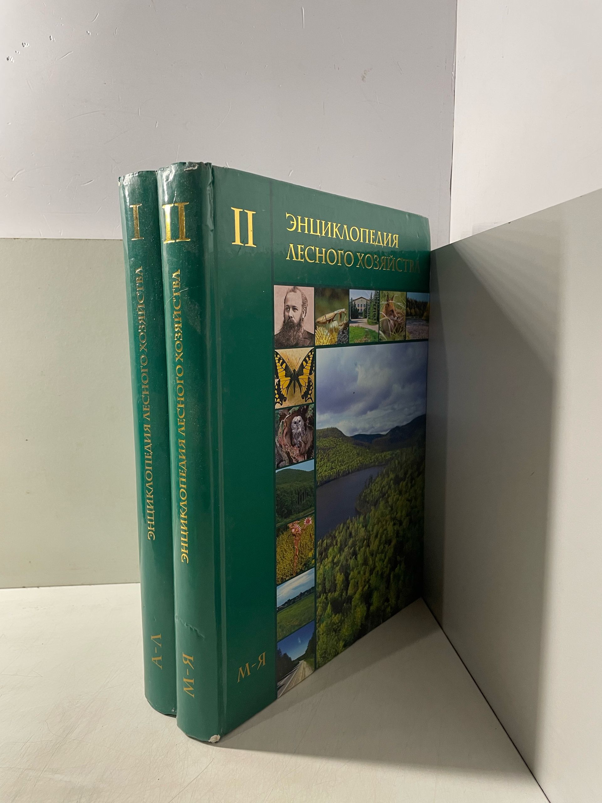 Энциклопедия лесного хозяйства. В двух томах. — изображение 2