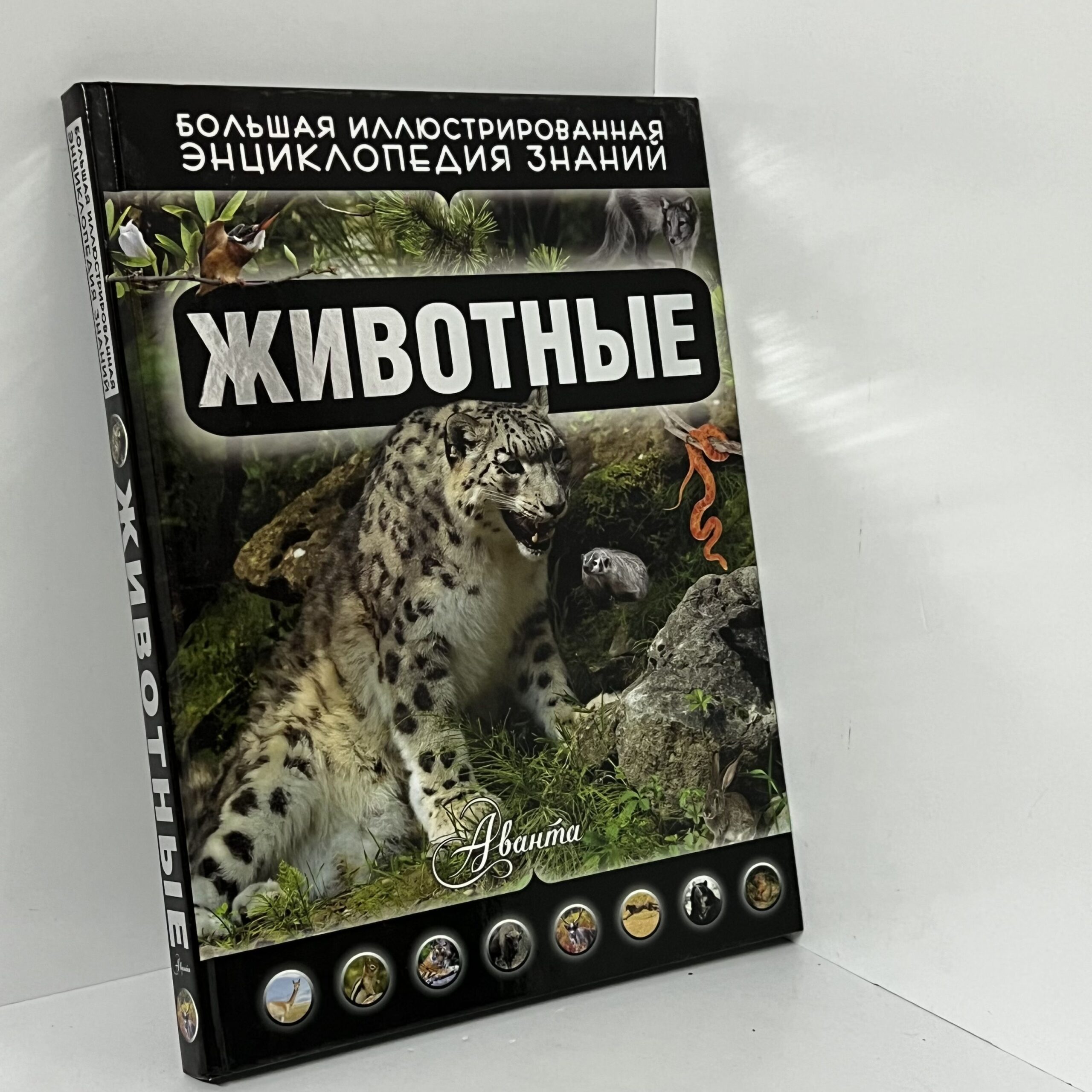 Дмитрий Кошевар. Животные — изображение 2