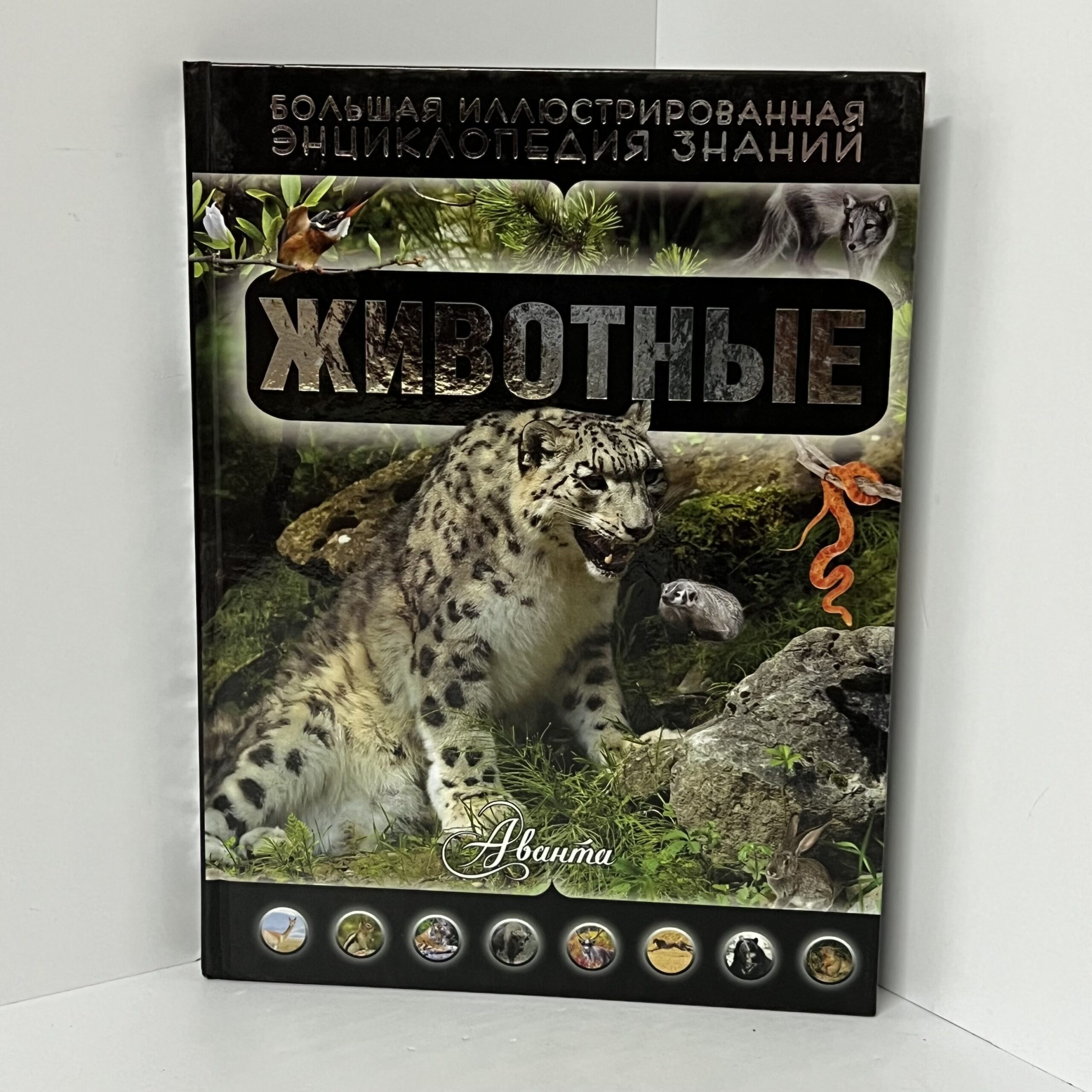 Дмитрий Кошевар. Животные