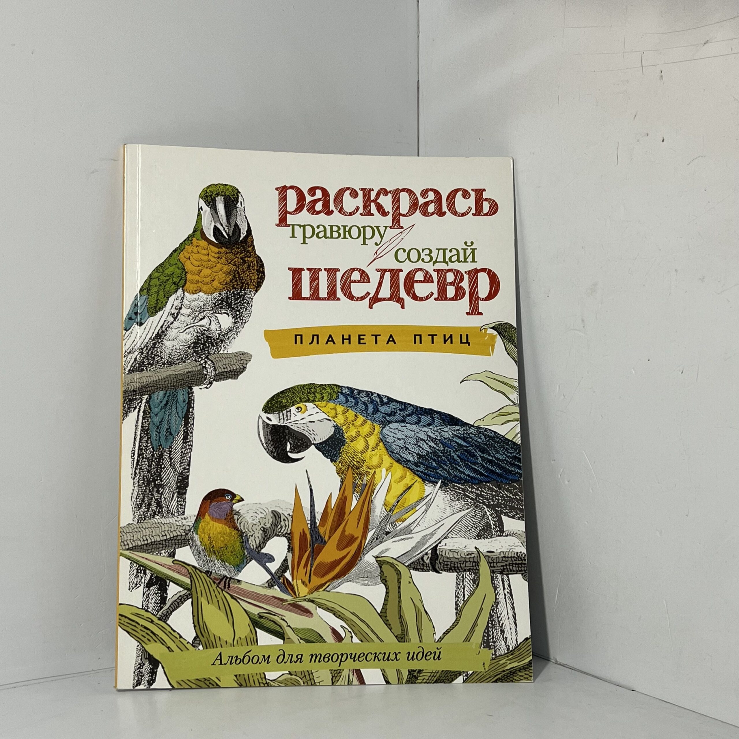 Планета птиц