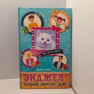 Энджел. Котенок обретает дом