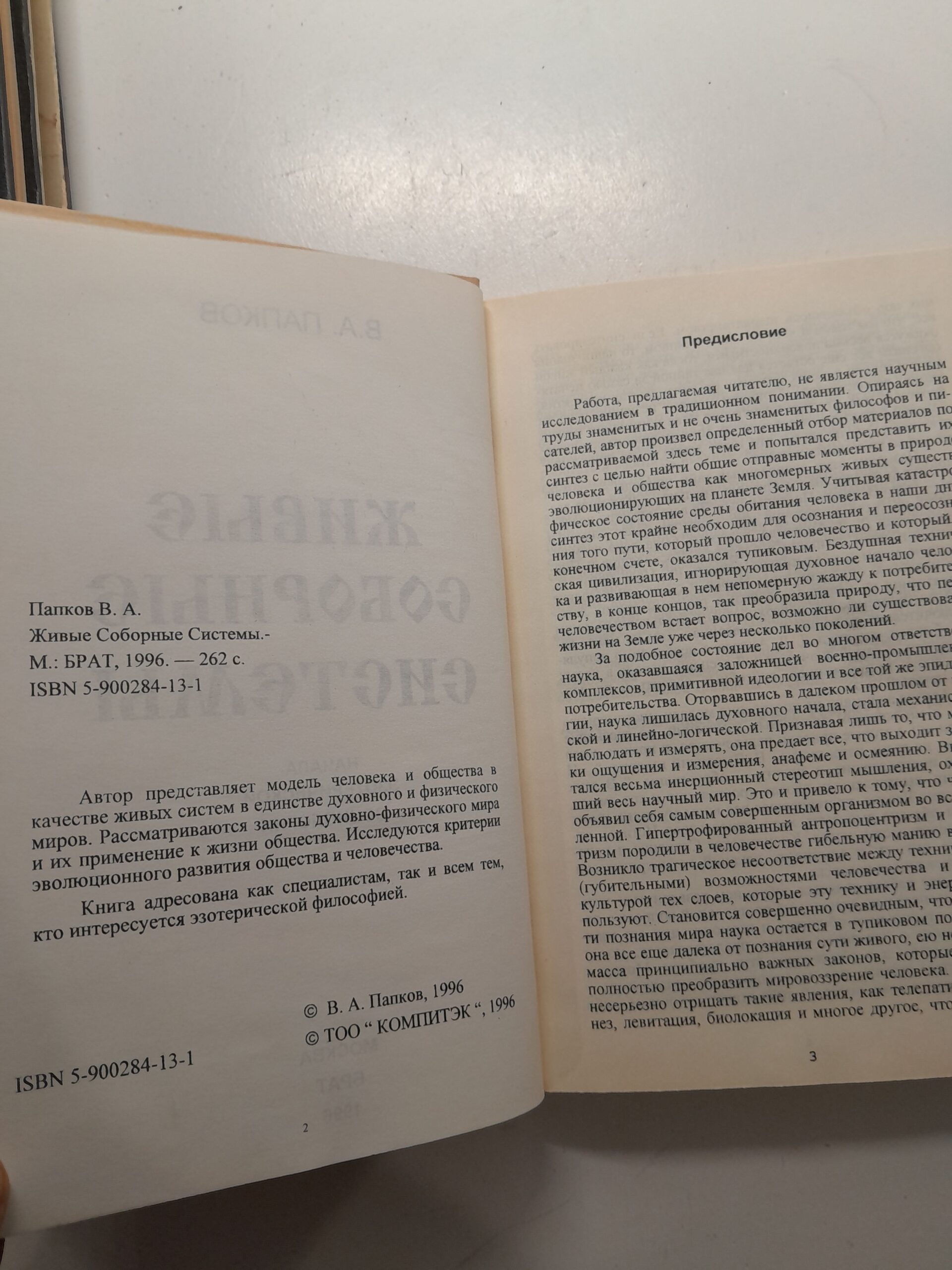 Живые Соборные Системы. Начала эзотерической социологии / В.А. Папков — изображение 4