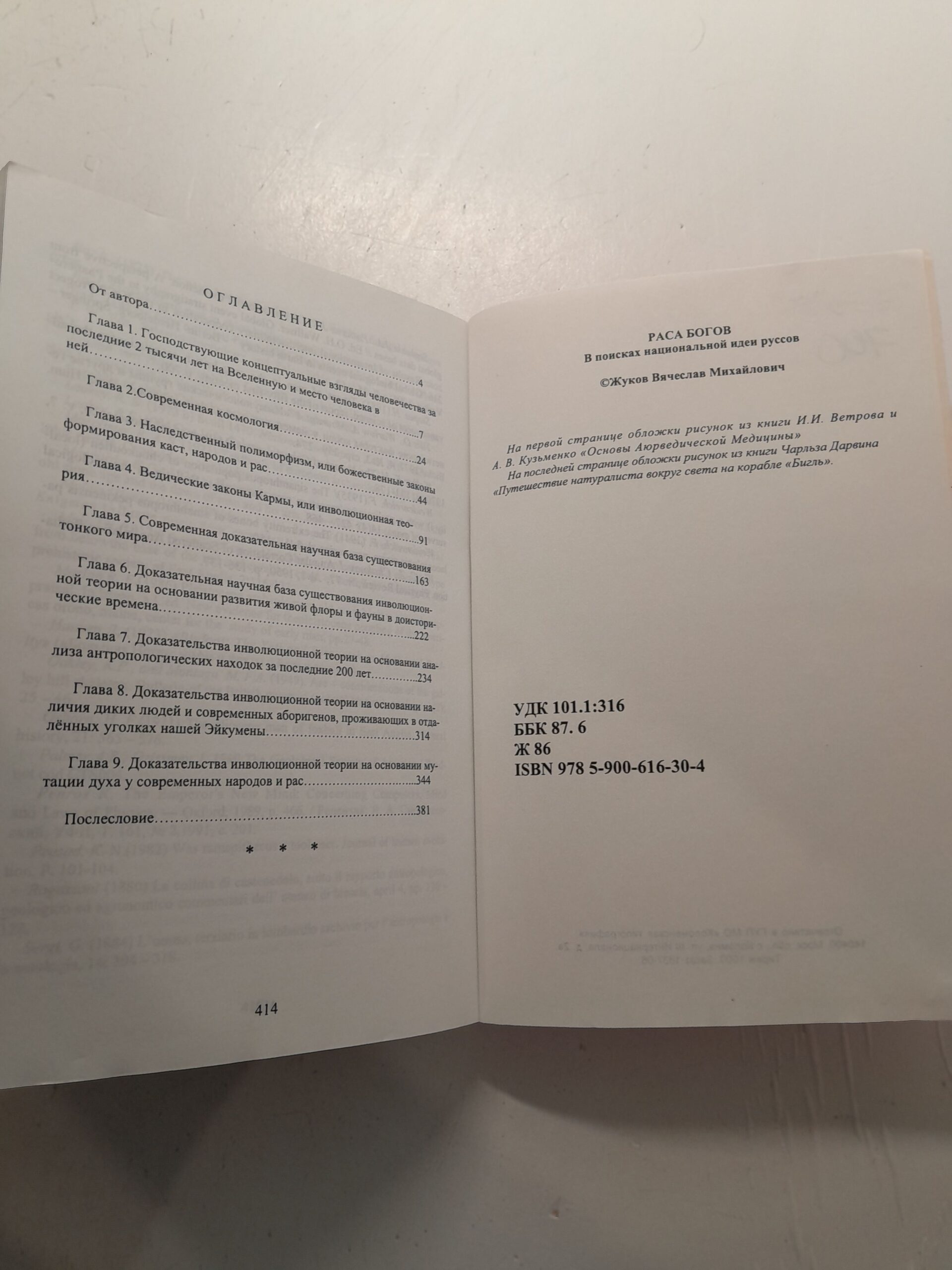 Раса богов. В поисках национальной идеи Руссов / Вячеслав Жуков — изображение 3