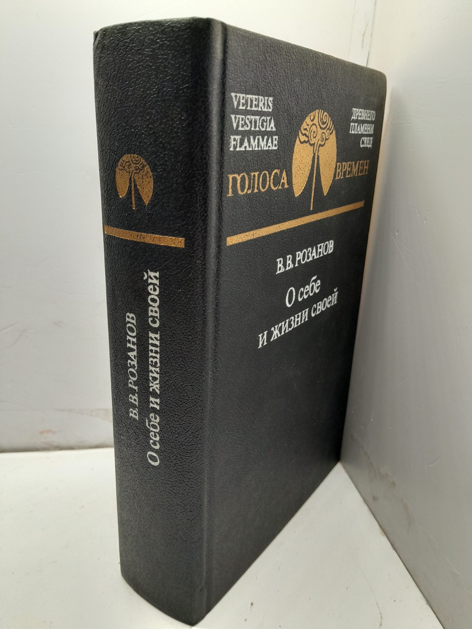 В. В. Розанов / О себе и жизни своей — изображение 2