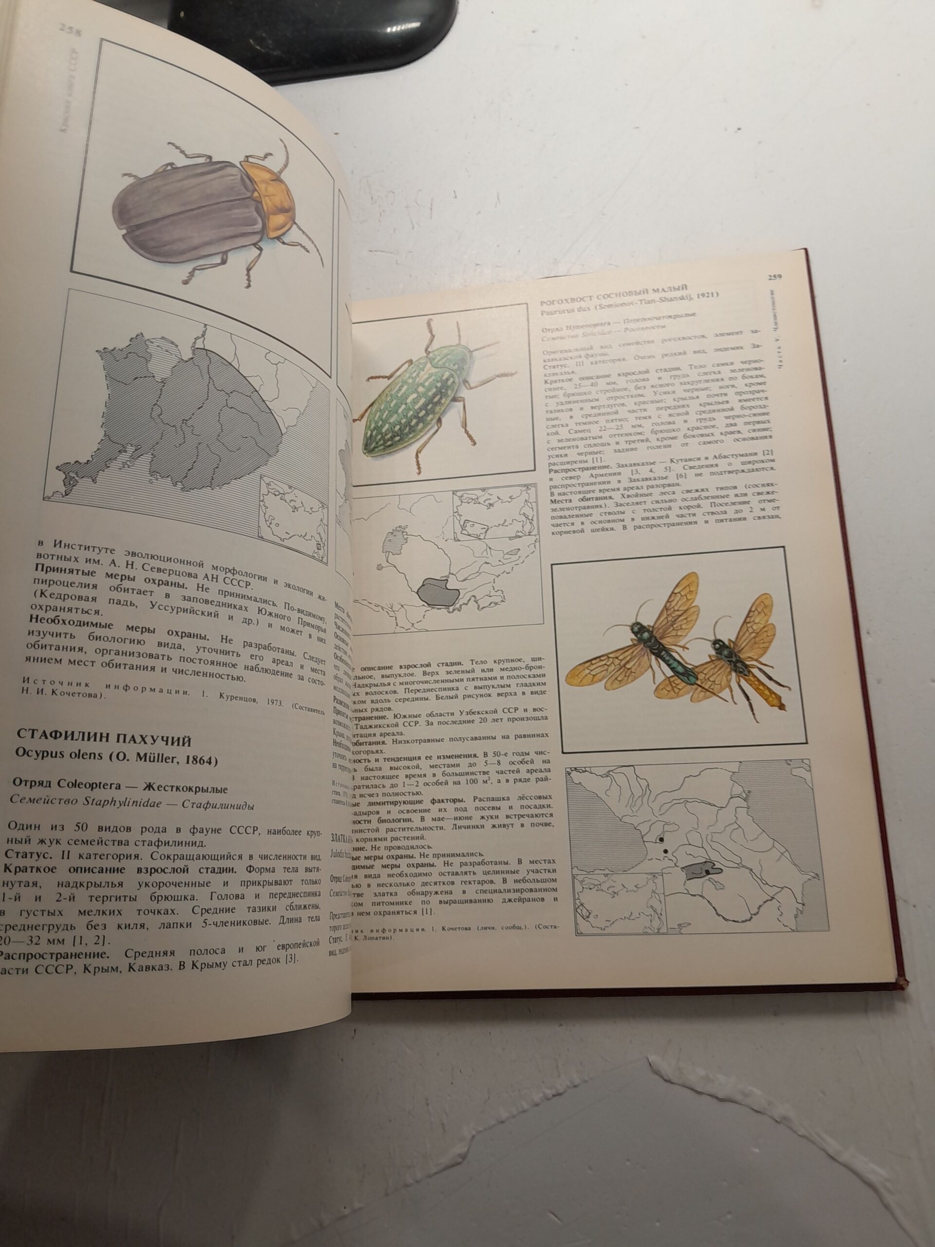 Красная книга СССР. Том 1. Редкие и находящиеся под угрозой исчезновения виды животных и растений — изображение 6