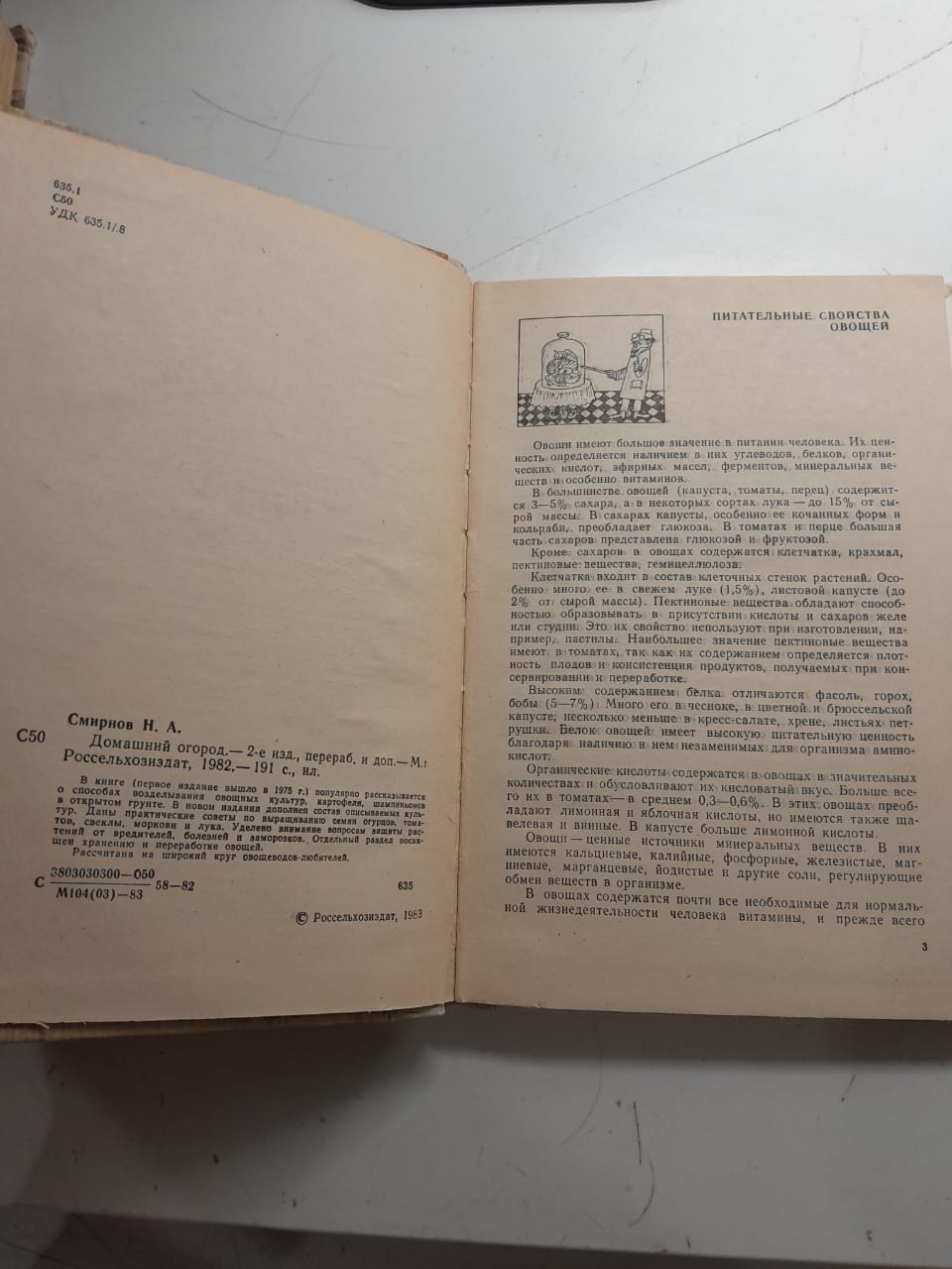 Домашний огород / Н. А. Смирнова — изображение 3
