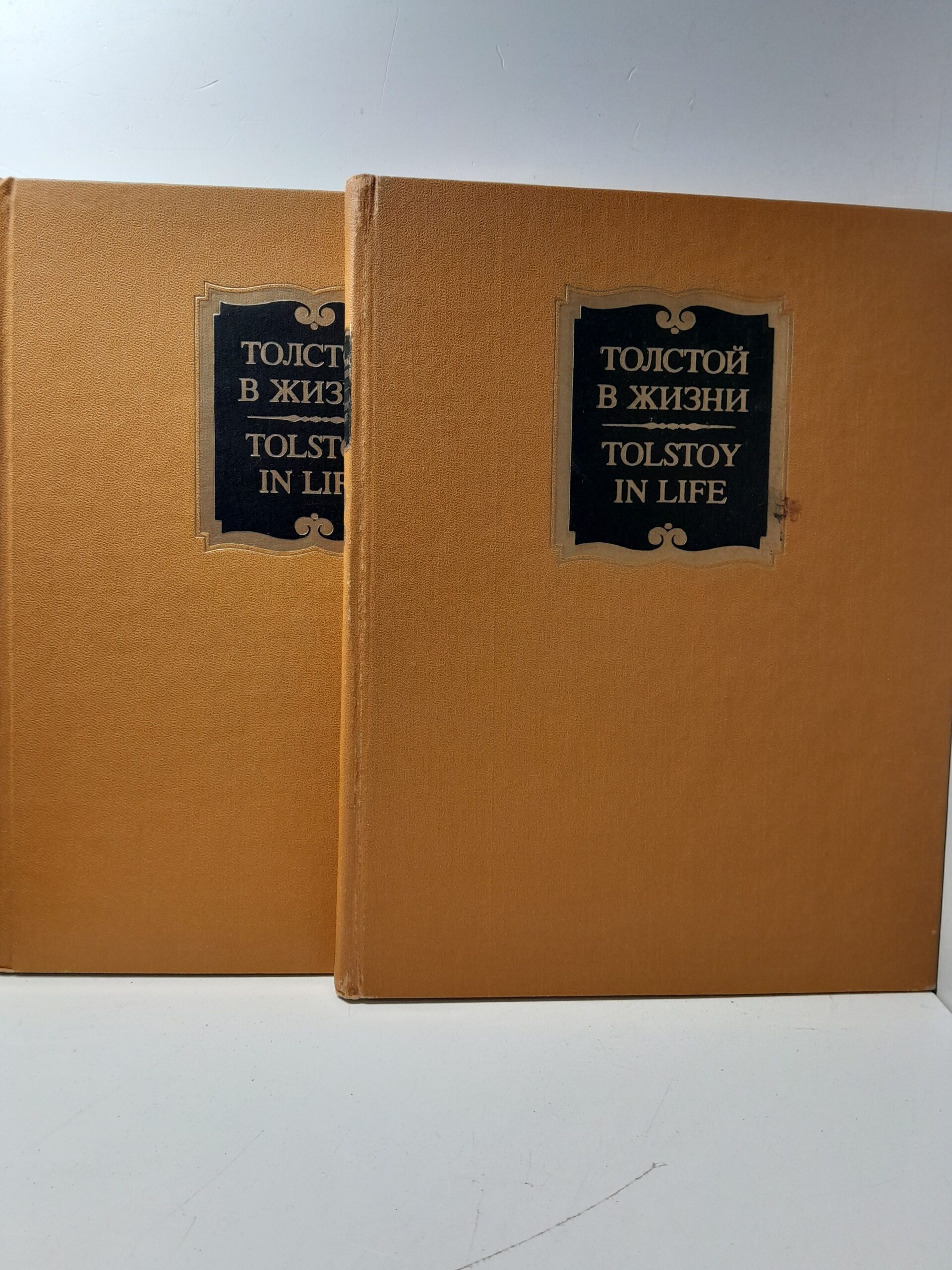 Толстой в жизни. Л.Н.Толстой, семья и его окружение,Ясная Поляна и другие места, связанные с его жизнью и творчеством. В 2 томах