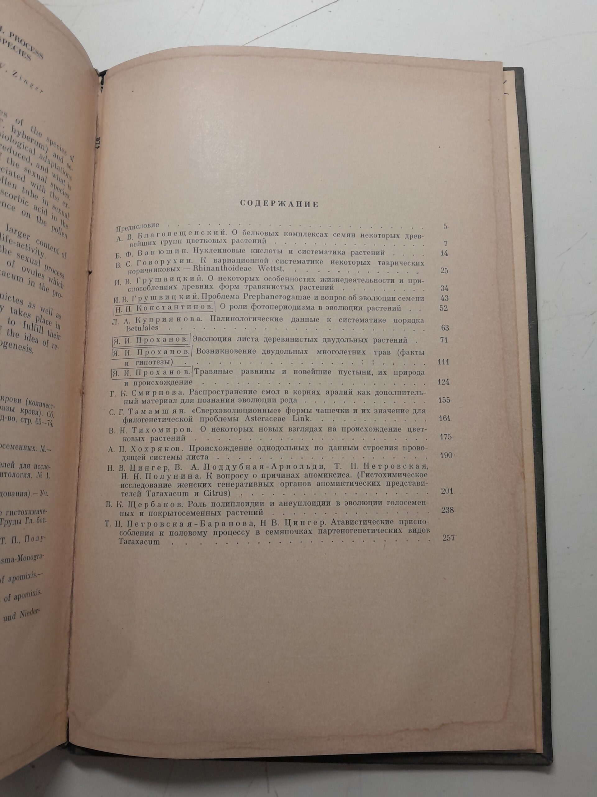 Проблемы филогении растений — изображение 4