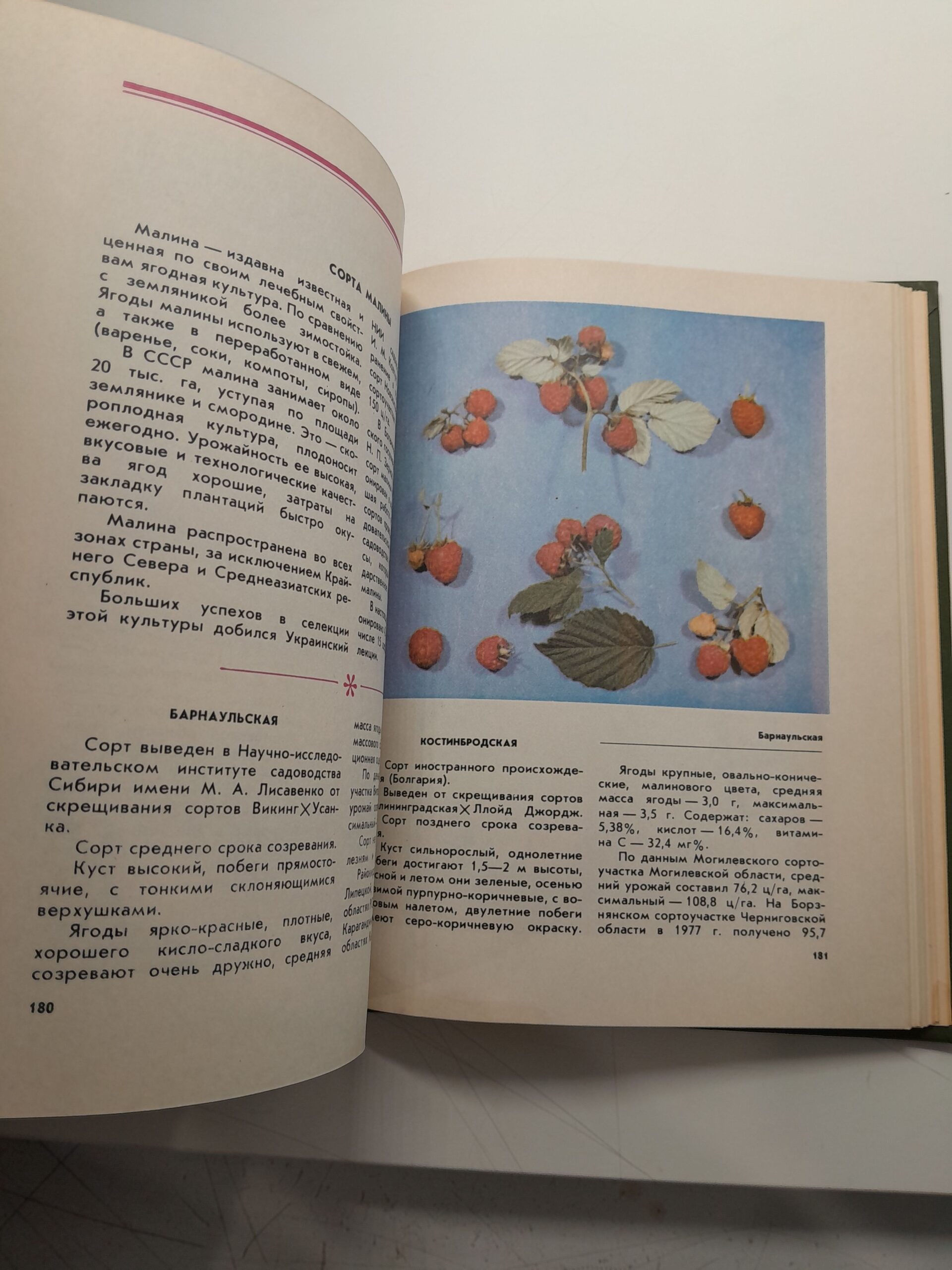 Новые районированные сорта плодово-ягодных культур и винограда. Альбом-справочник — изображение 5