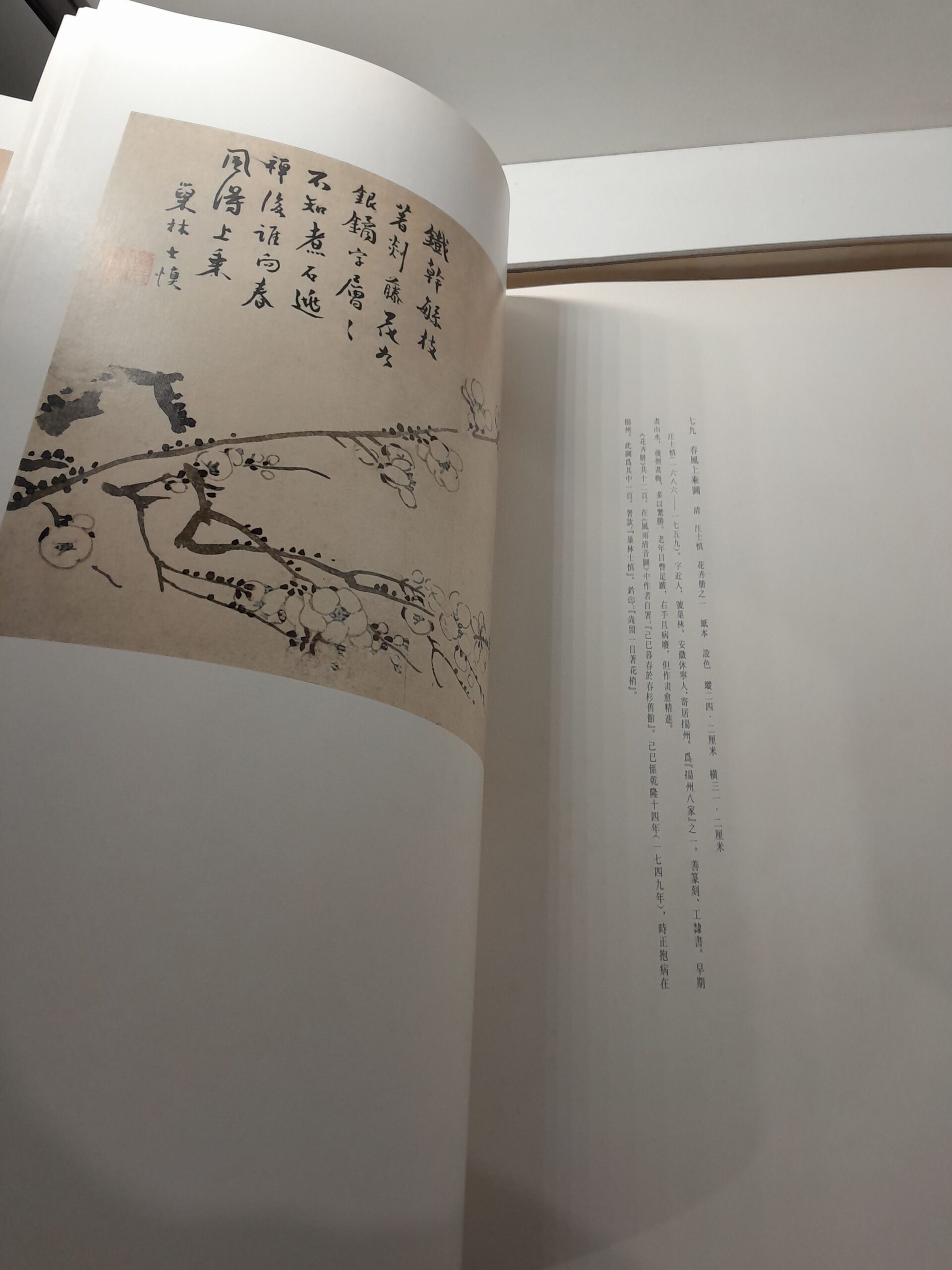 Книги из коллекции Нанкинского музея ( Книга на китайском ) — изображение 7