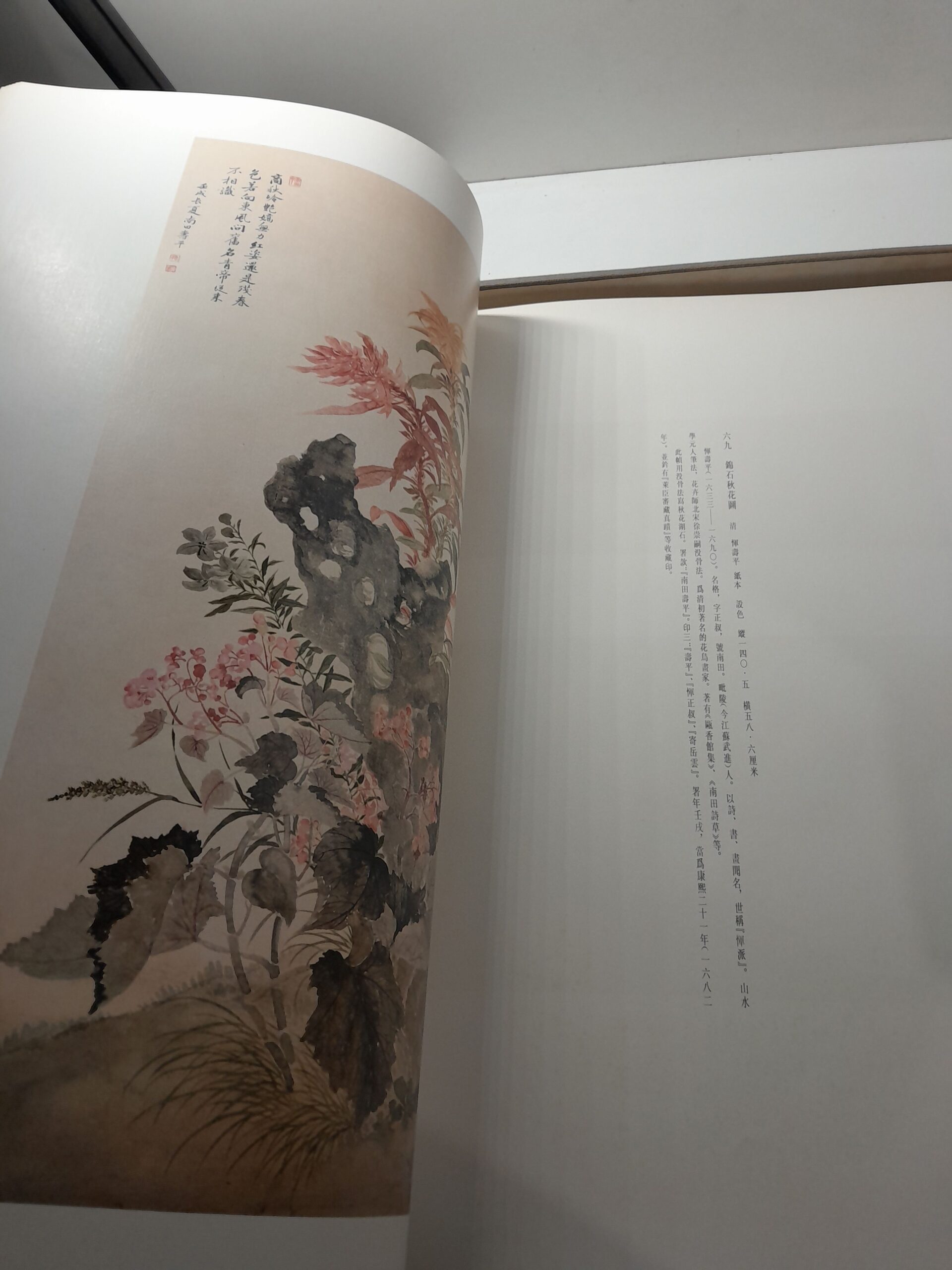 Книги из коллекции Нанкинского музея ( Книга на китайском ) — изображение 6