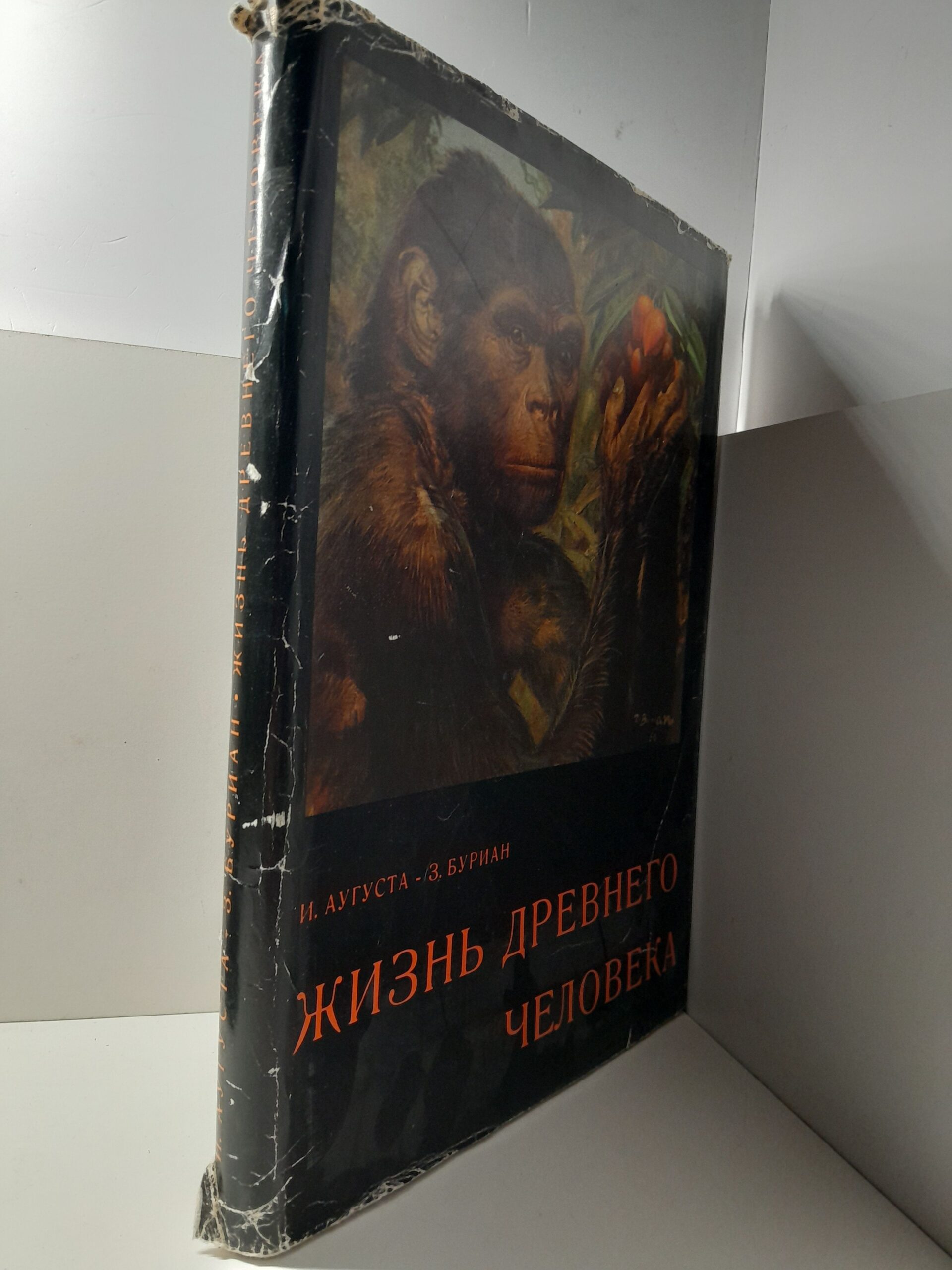 Жизнь древнего человека / Йозеф Аугуста, Зденек Буриан — изображение 2