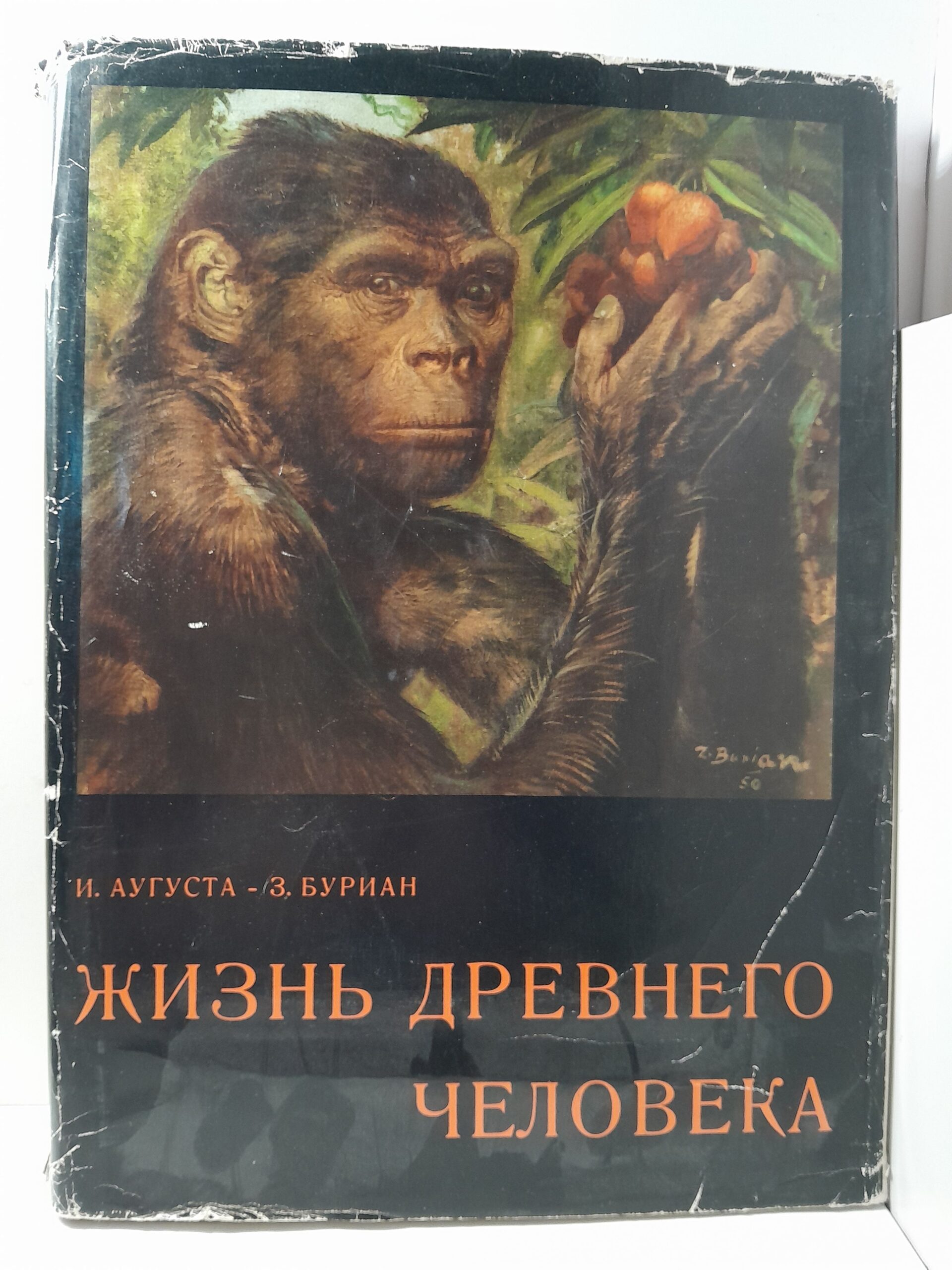 Жизнь древнего человека / Йозеф Аугуста, Зденек Буриан