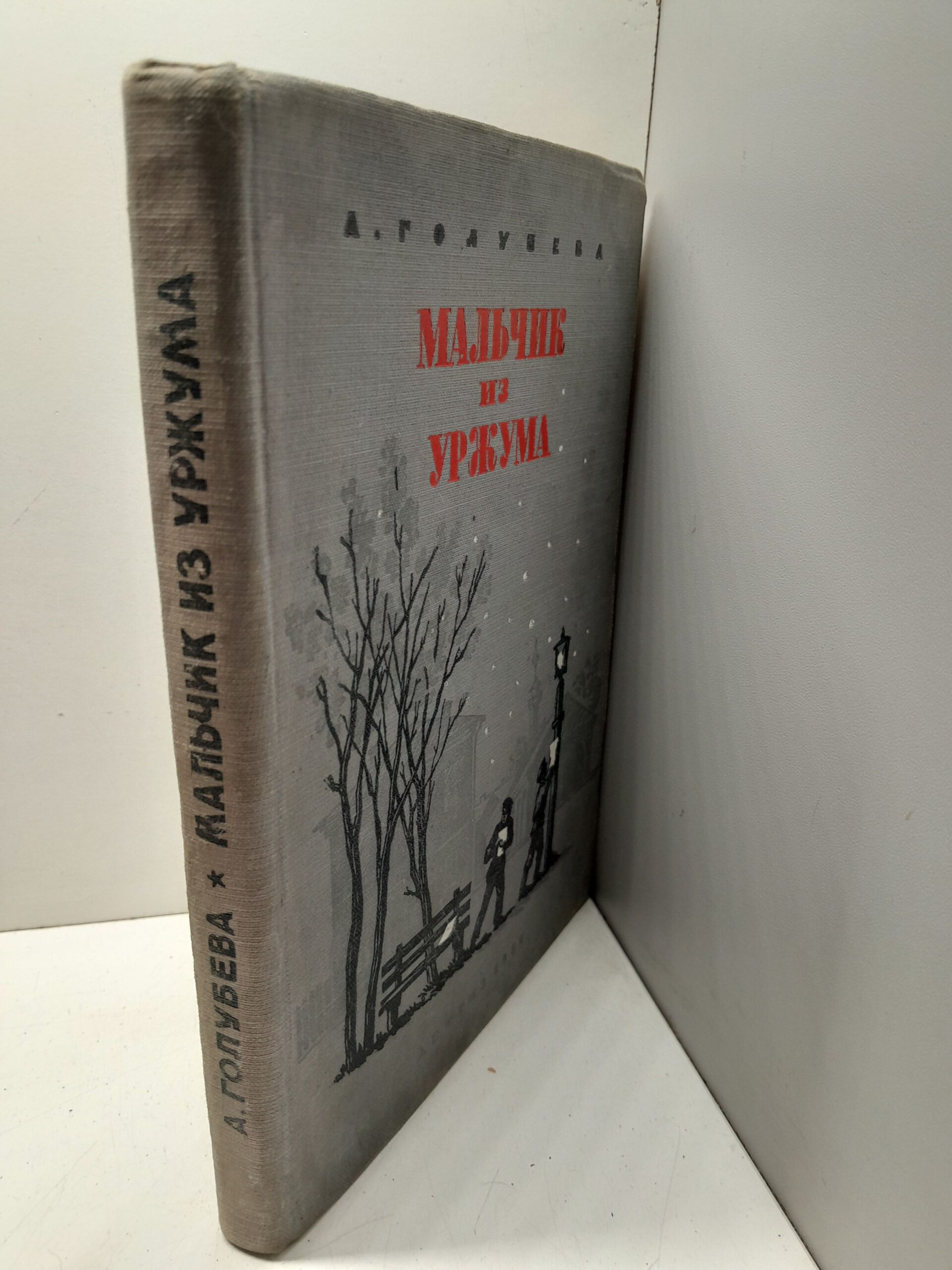 Мальчик из Уржума / Голубева А. — изображение 2