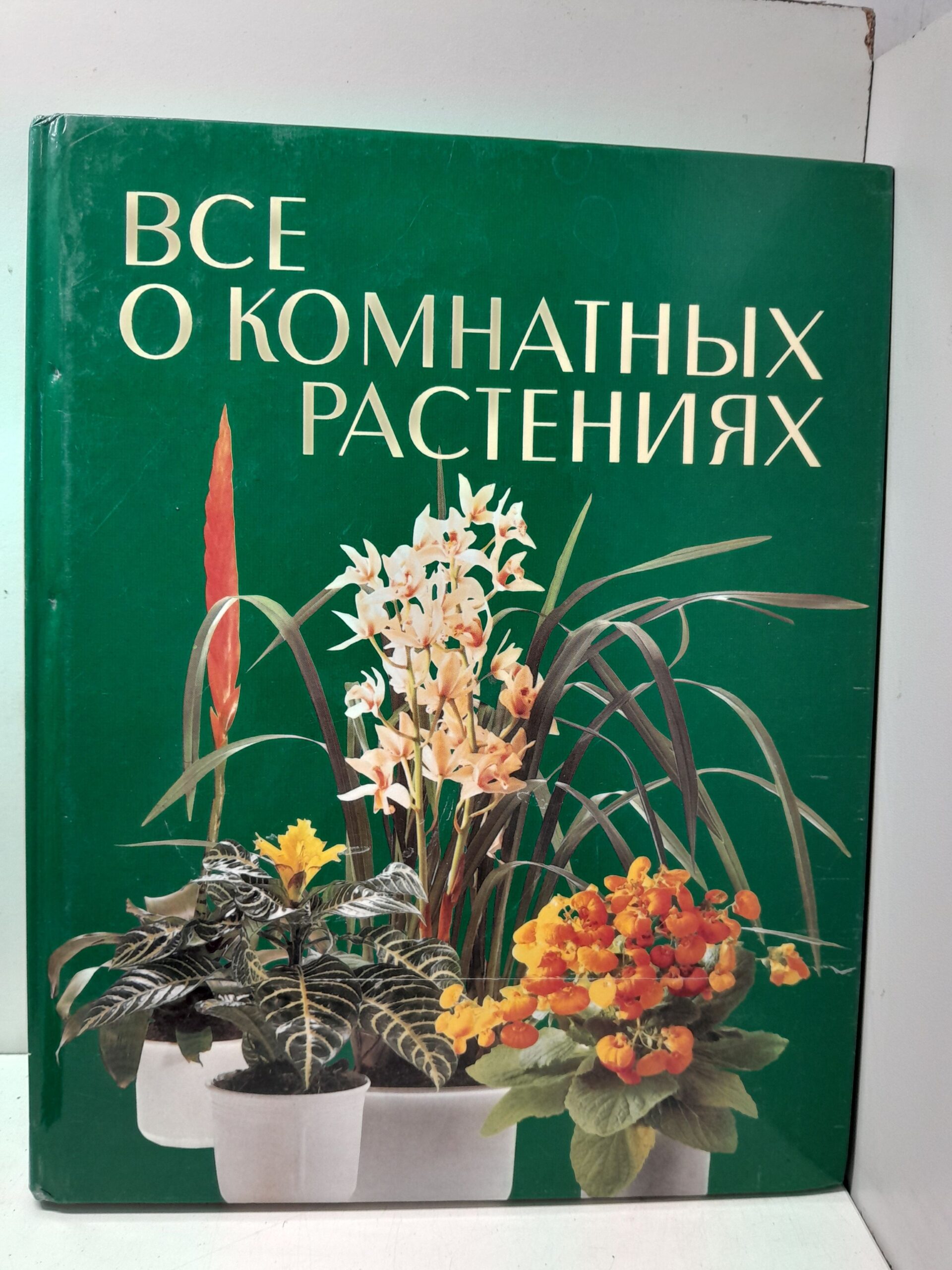 Все о комнатных растениях / Бехтхольд Фридхельм