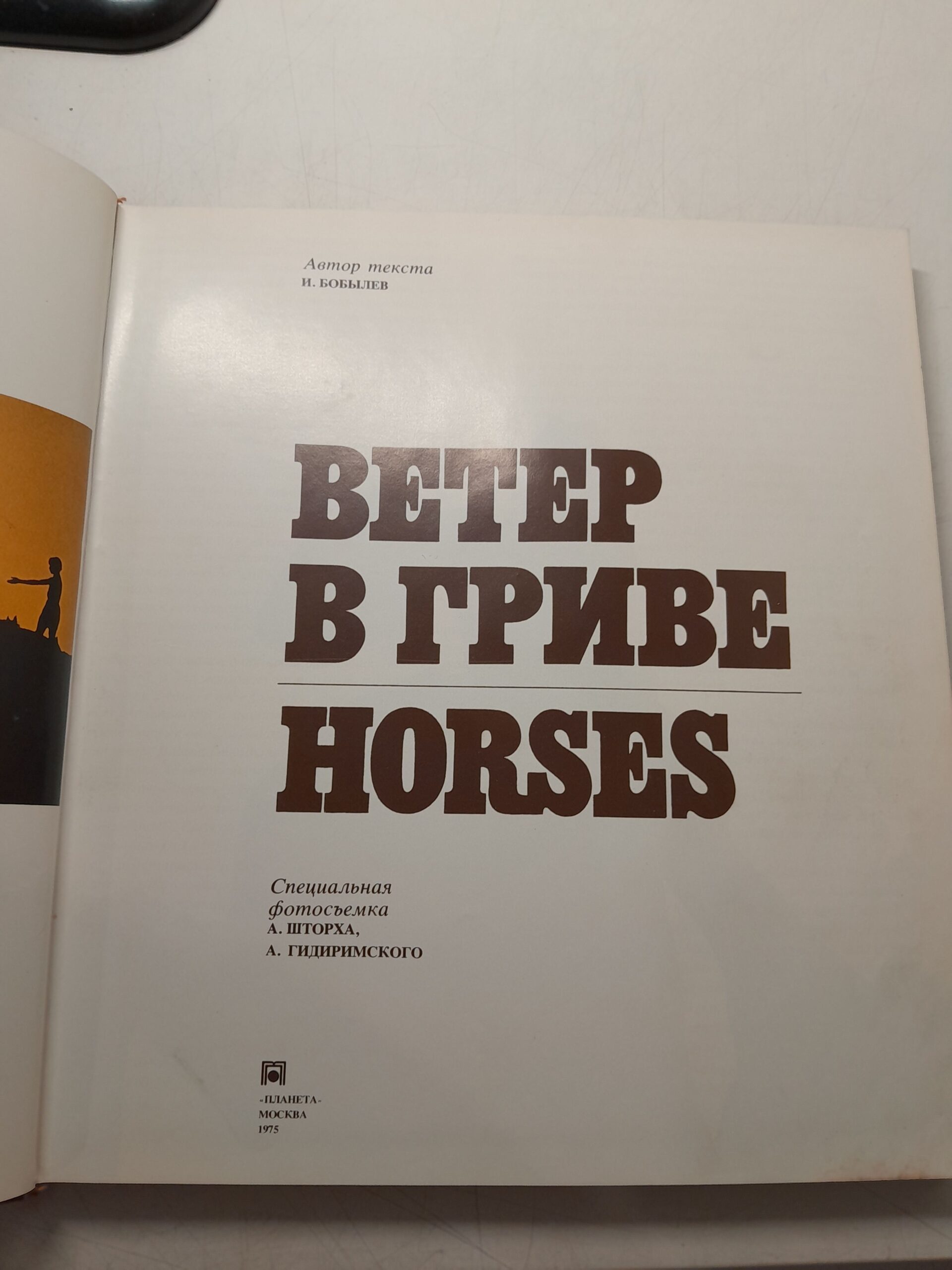 Ветер в гриве. Horses / Бобылев И.Ф — изображение 3