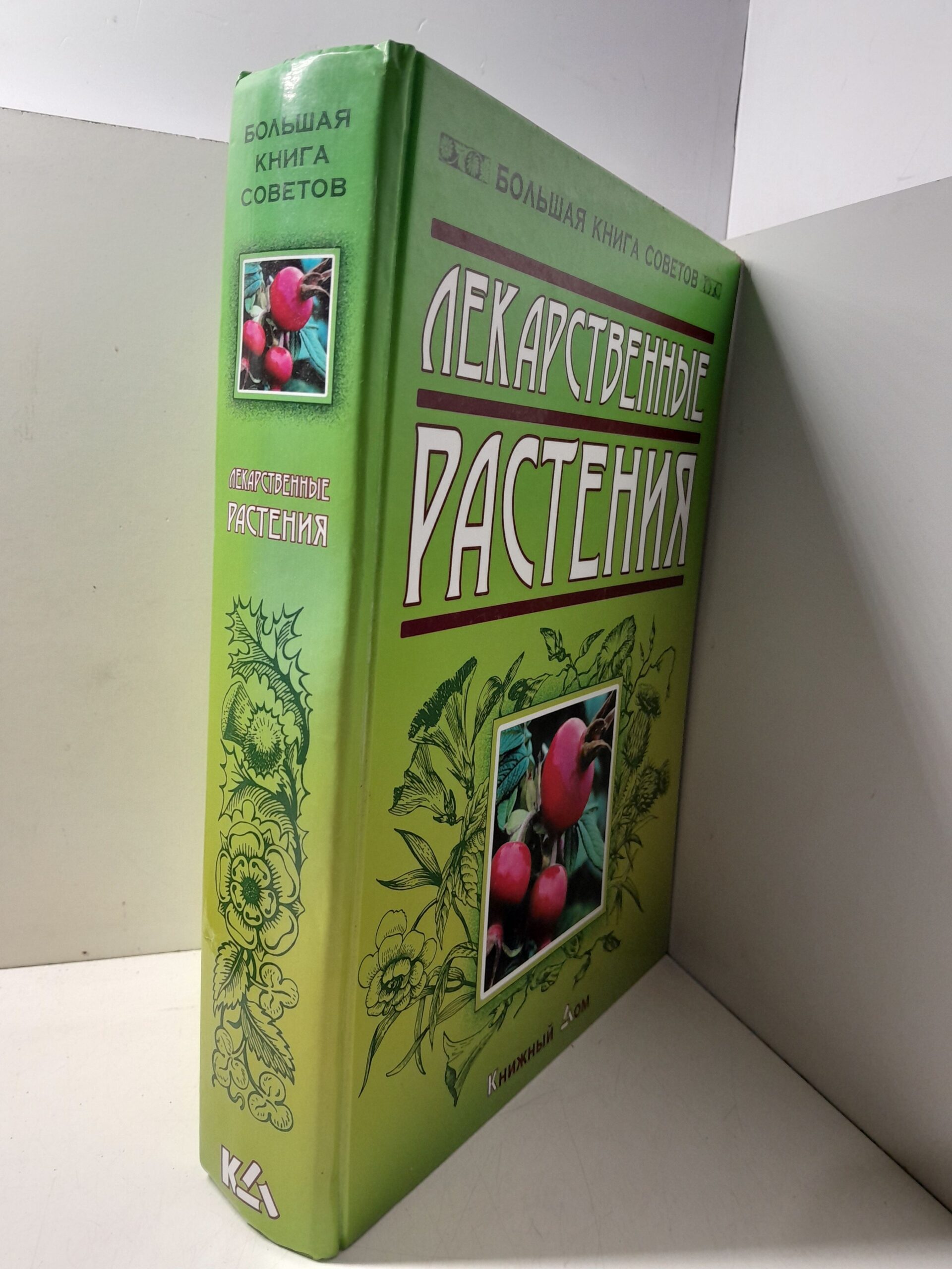 Лекарственные растения / И.Н. Путырский, В.Н. Прохоров — изображение 2