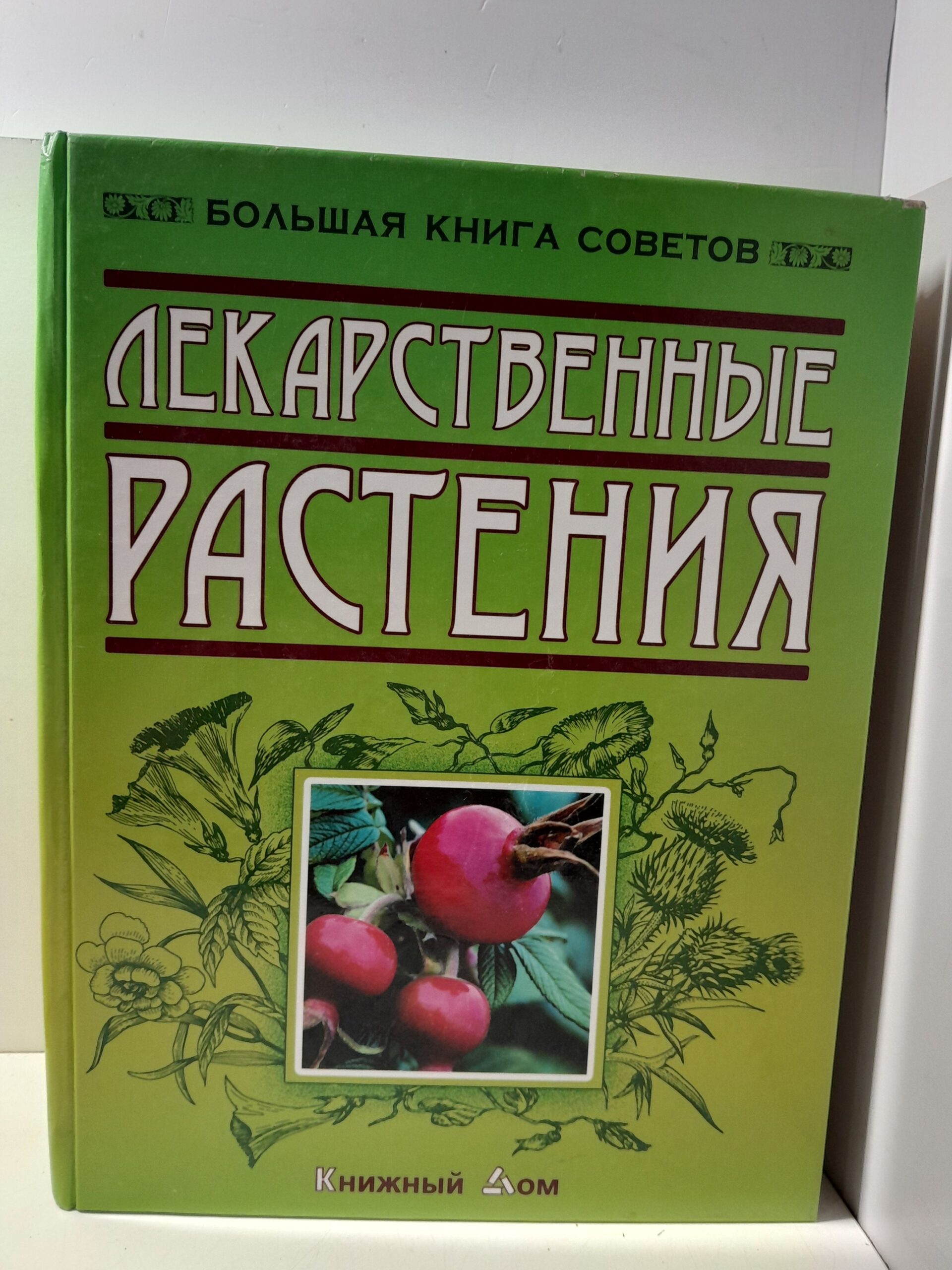 Лекарственные растения / И.Н. Путырский, В.Н. Прохоров