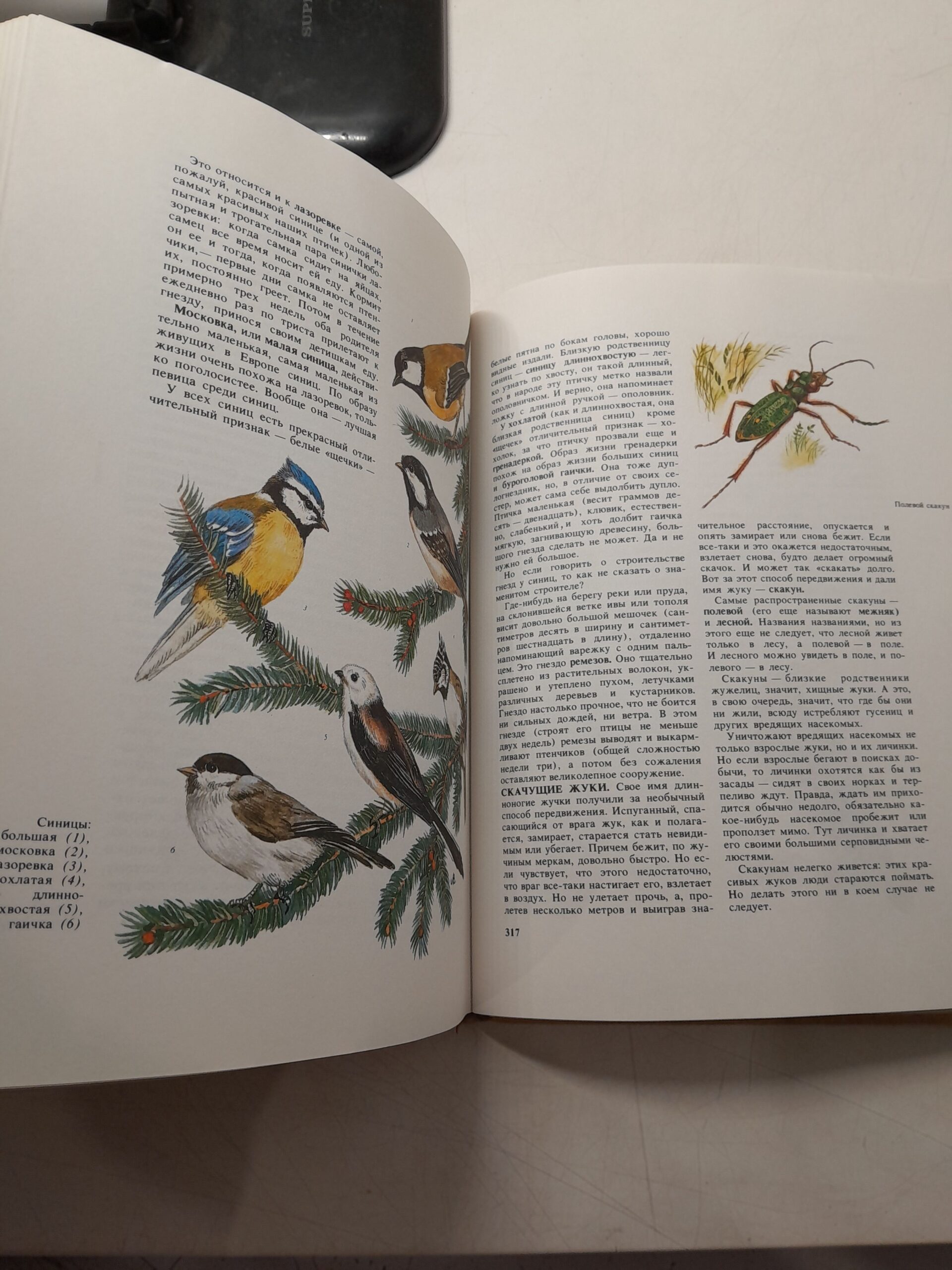 Книга природы. Научно-художественное издание / Дмитриев Ю., Пожарицкая Наталья — изображение 4