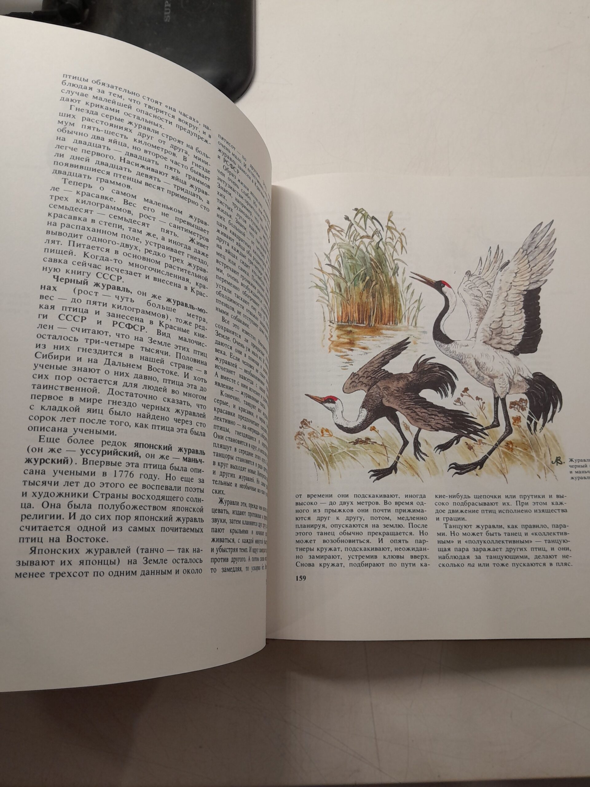 Книга природы. Научно-художественное издание / Дмитриев Ю., Пожарицкая Наталья — изображение 5