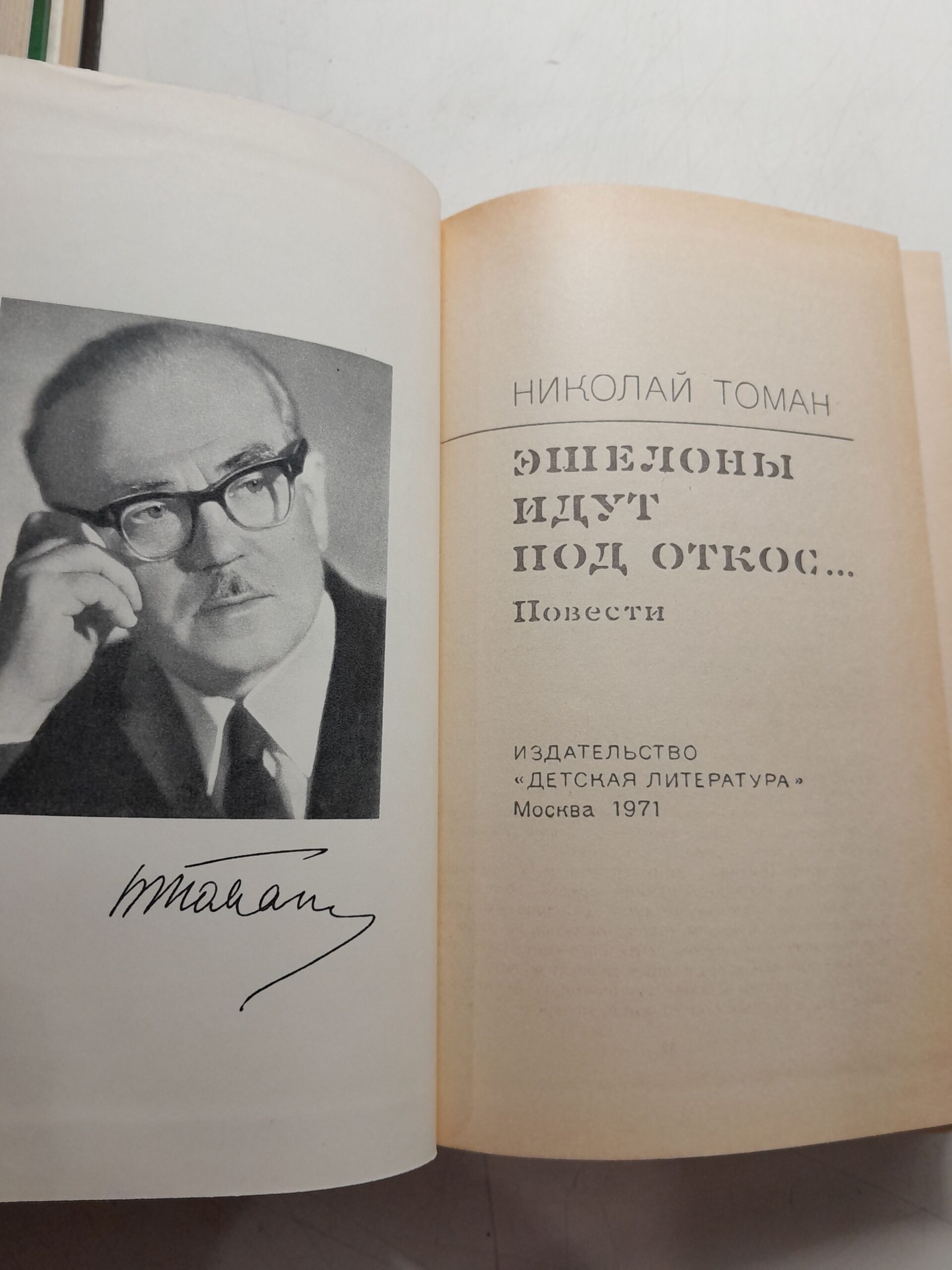 Эшелоны идут под откос / Николас Томан — изображение 3
