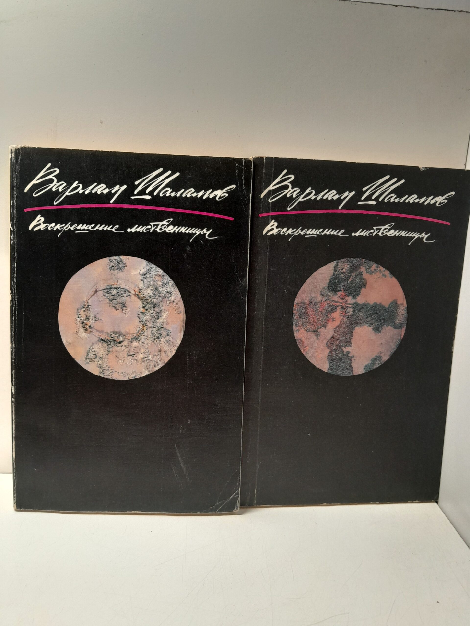 Воскрешение лиственницы. Рассказы в 2 книгах / Варлам Шаламов