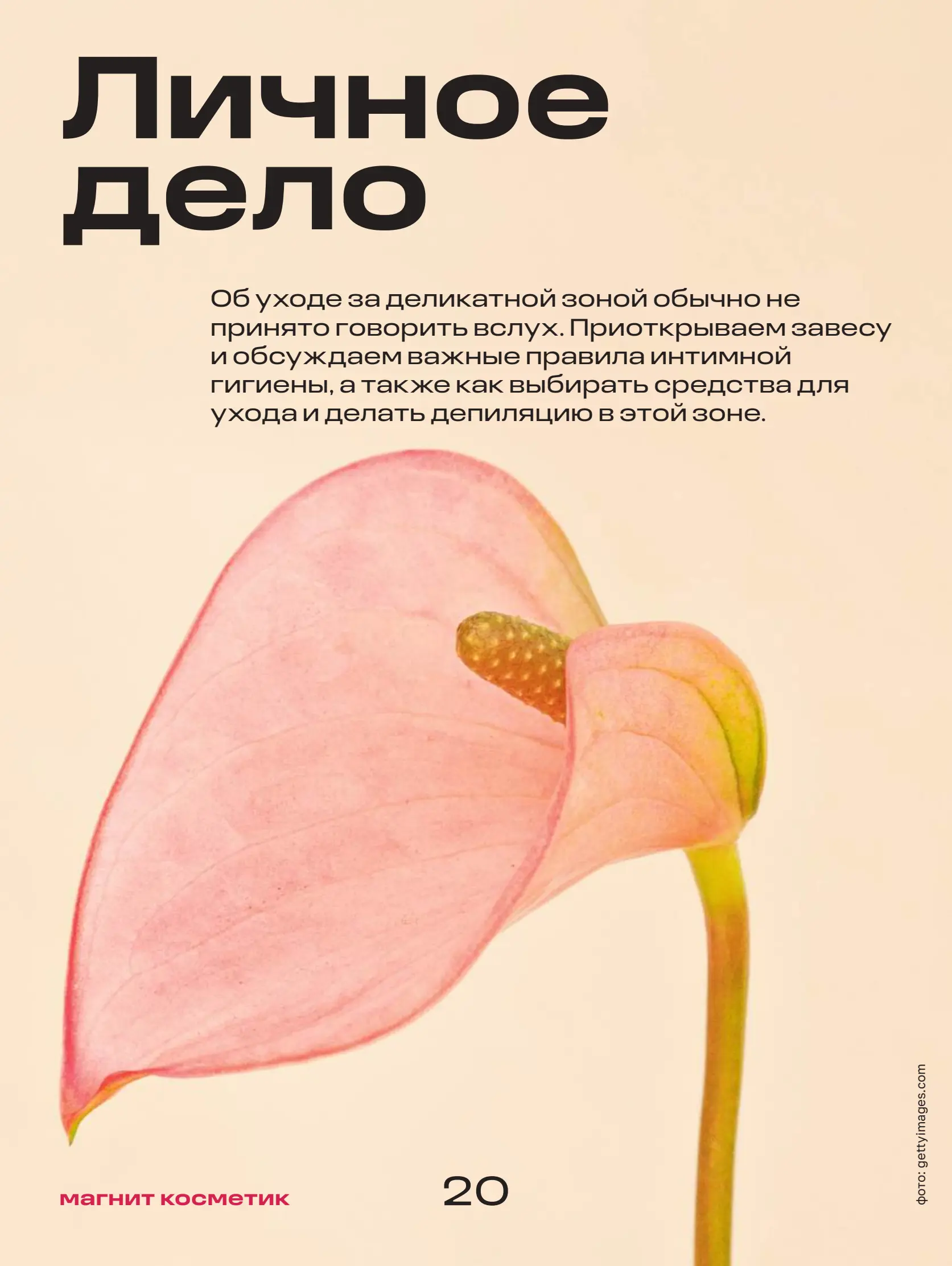 Журнал Магнит страница 21