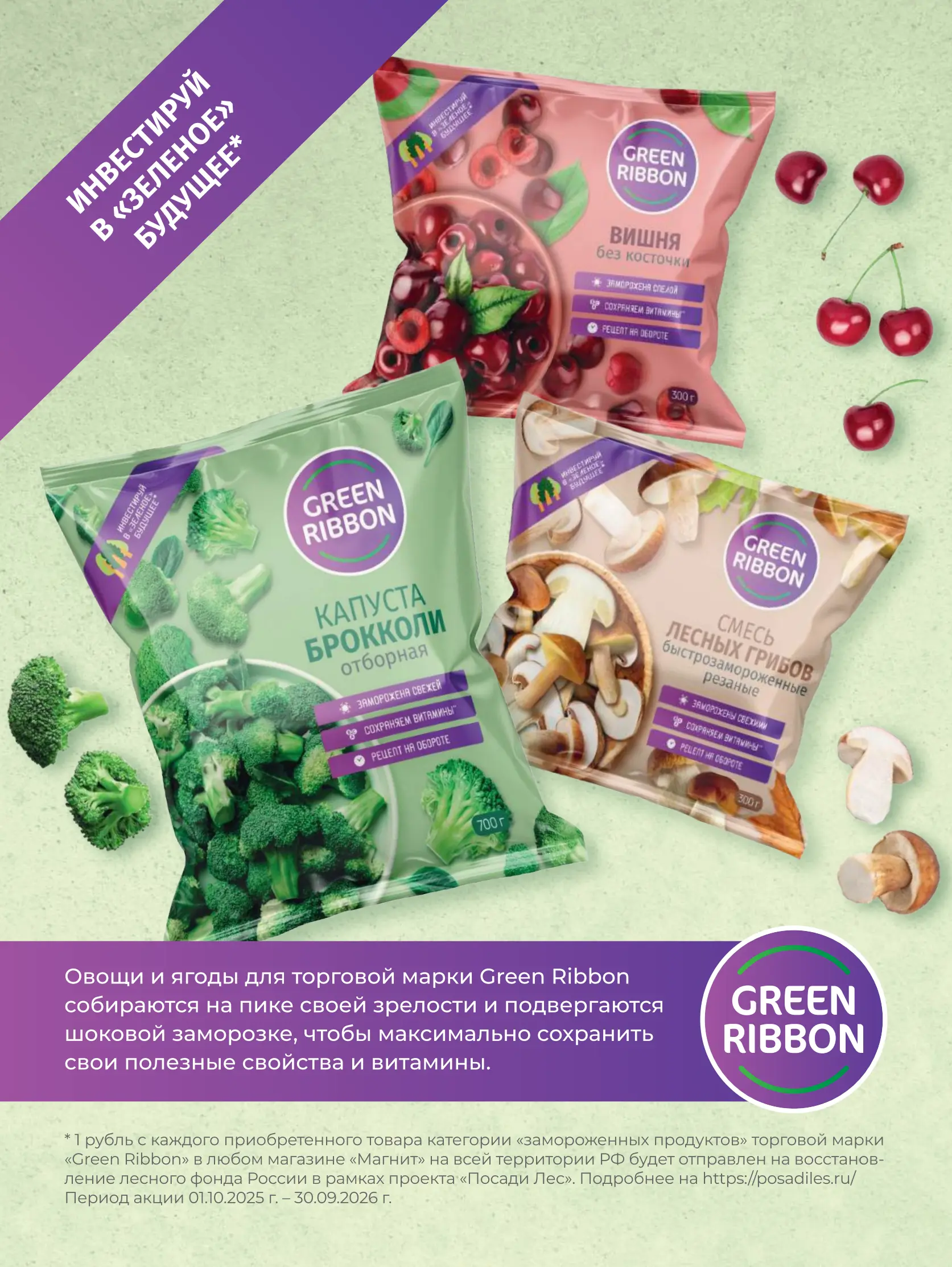 Журнал Магнит страница 114