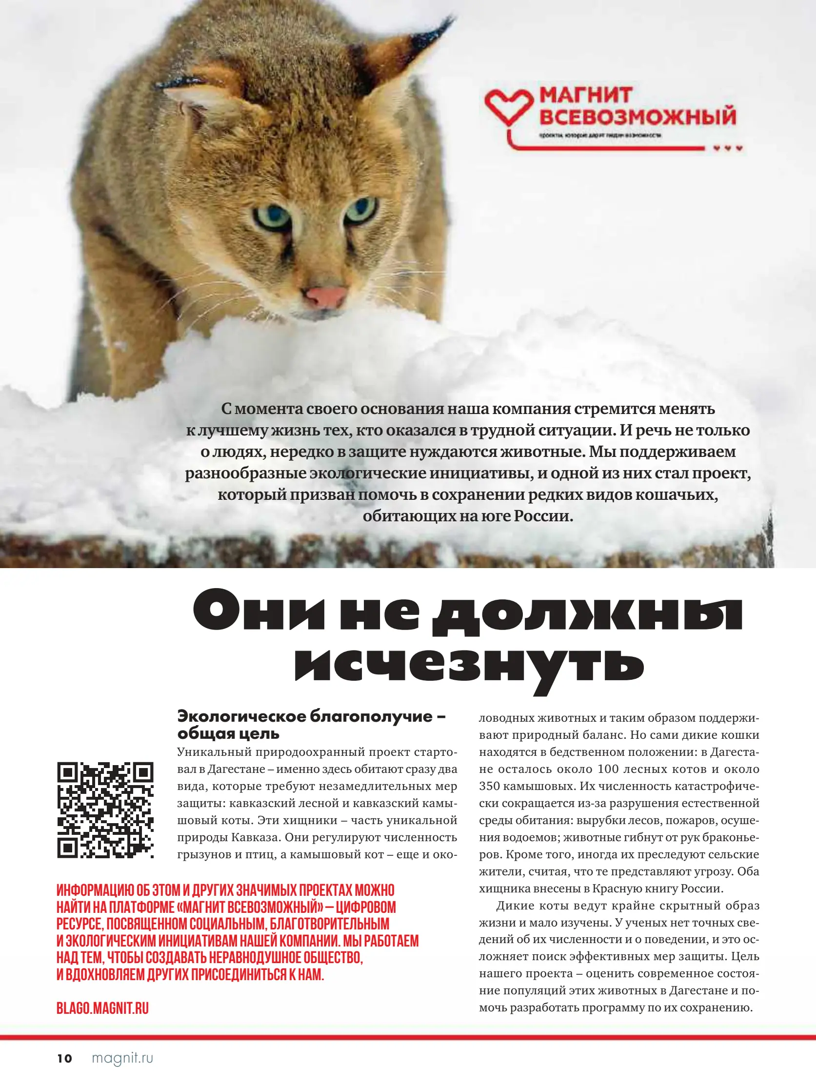 Журнал Магнит страница 11
