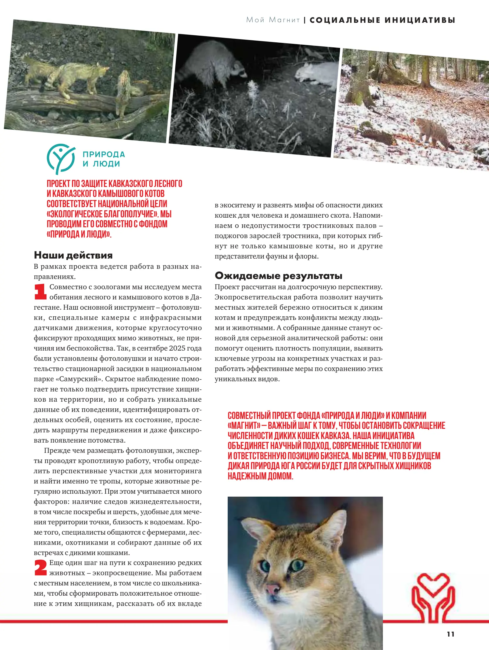 Журнал Магнит страница 12