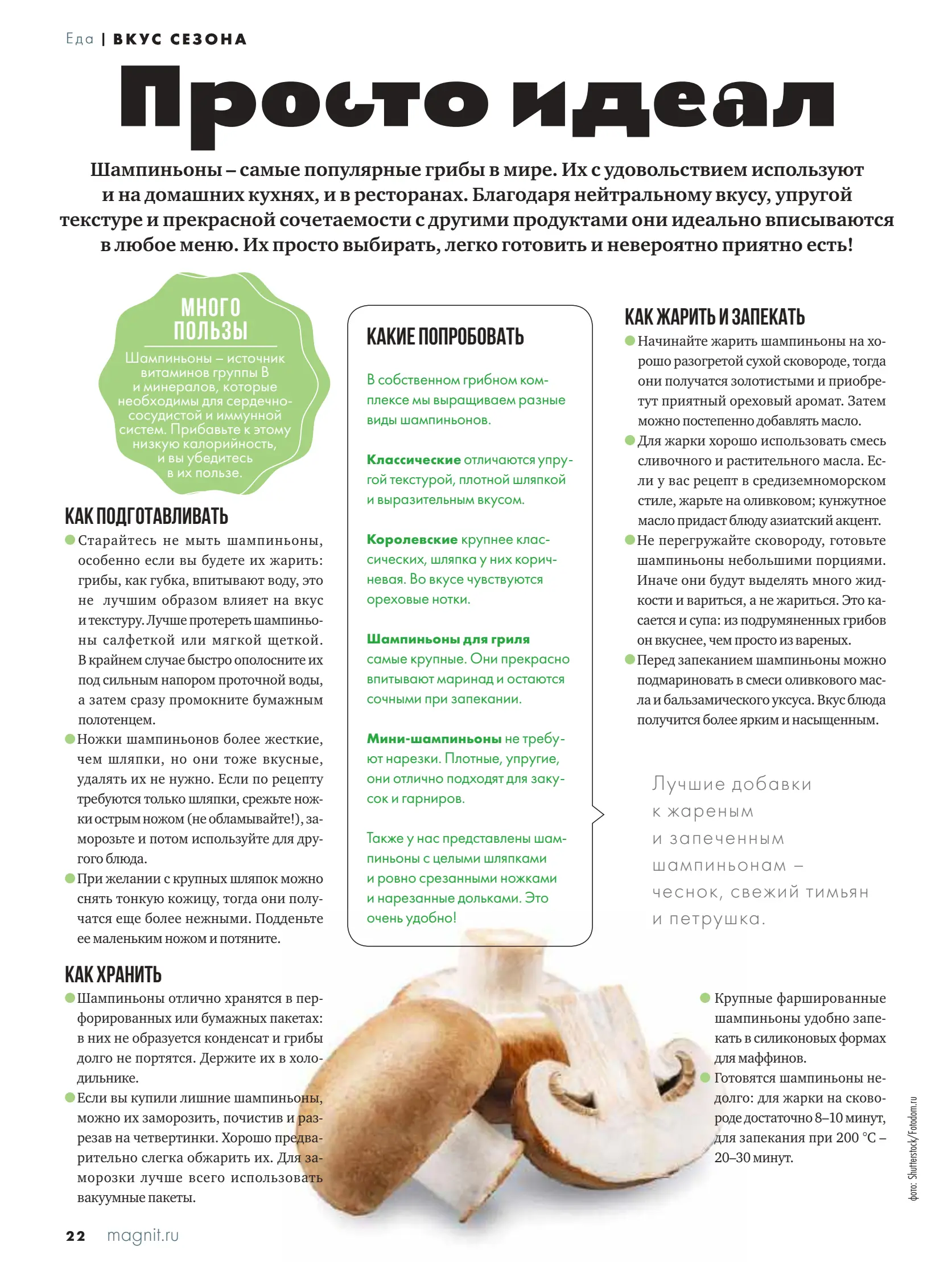 Журнал Магнит страница 23