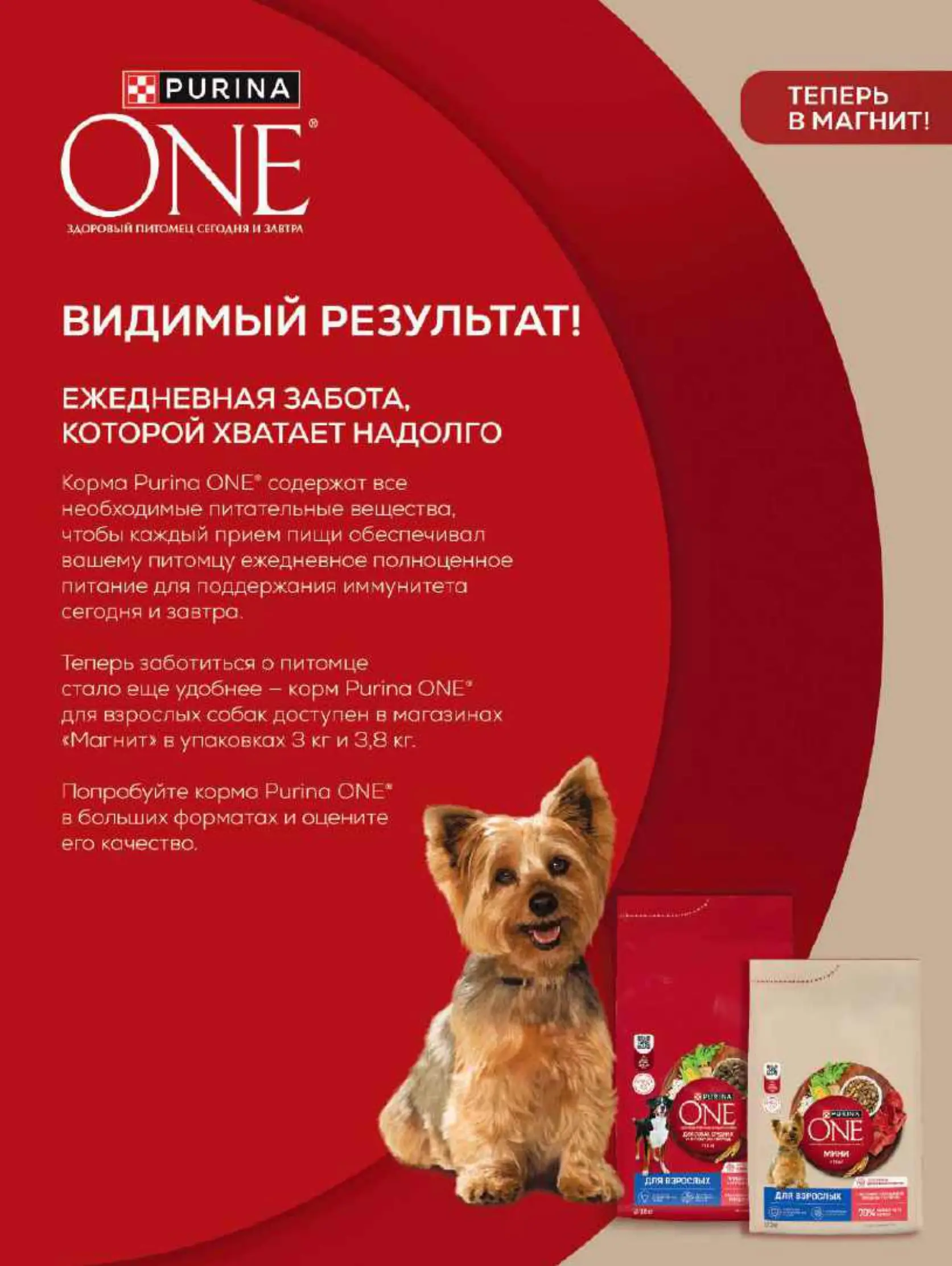 Журнал Магнит страница 96