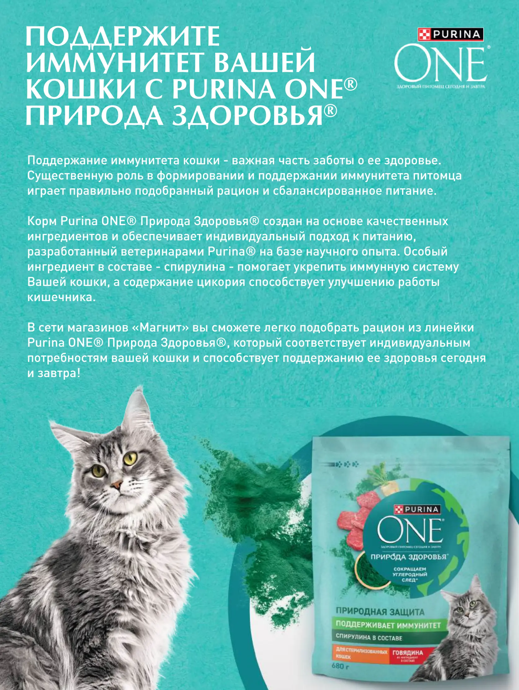 Журнал Магнит страница 96
