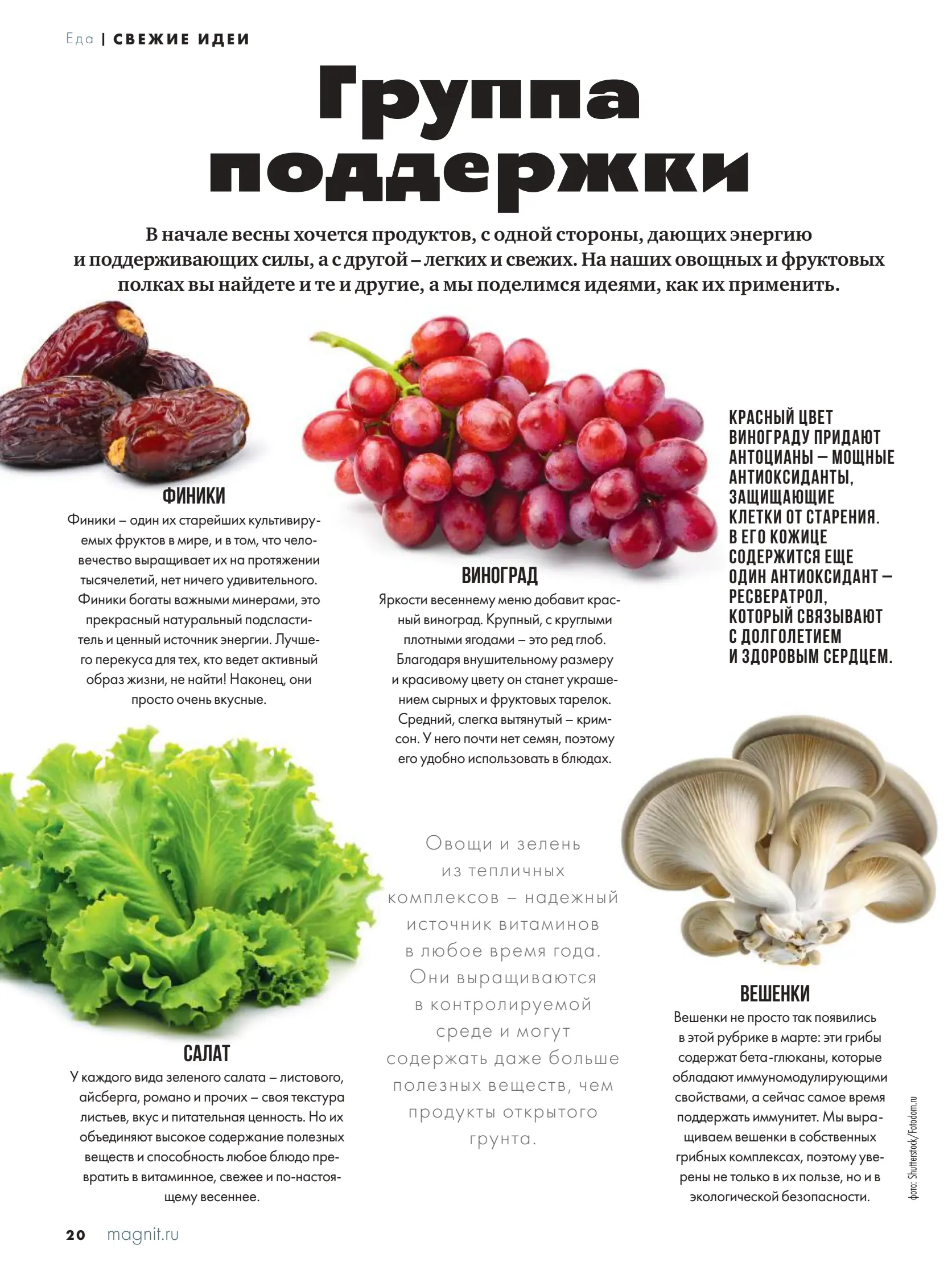 Журнал Магнит страница 21