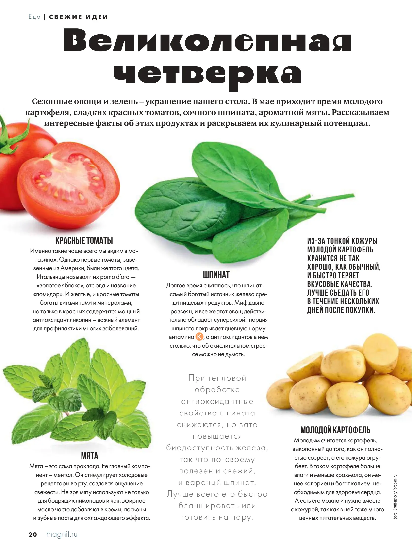 Журнал Магнит страница 21