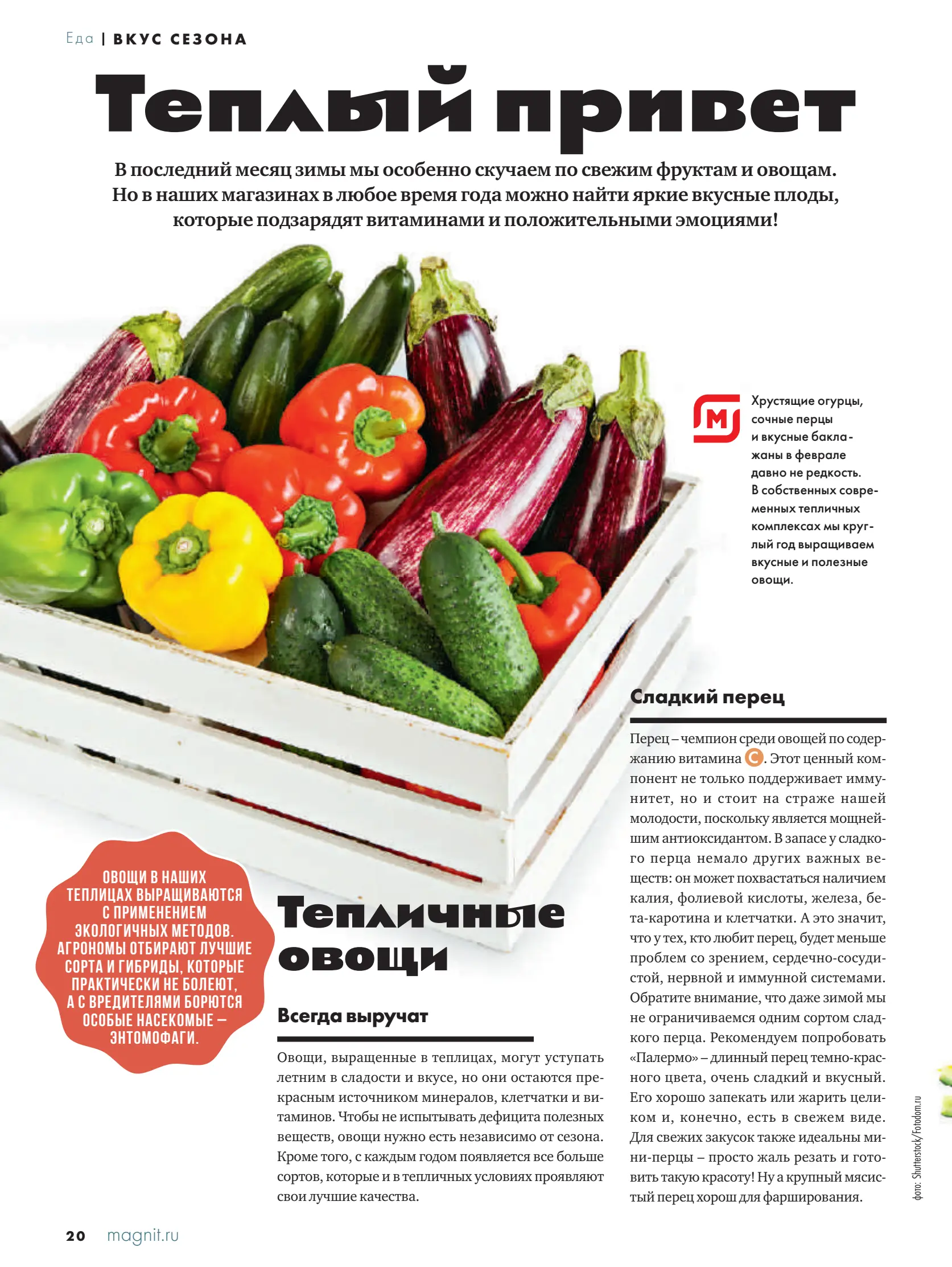 Журнал Магнит страница 21