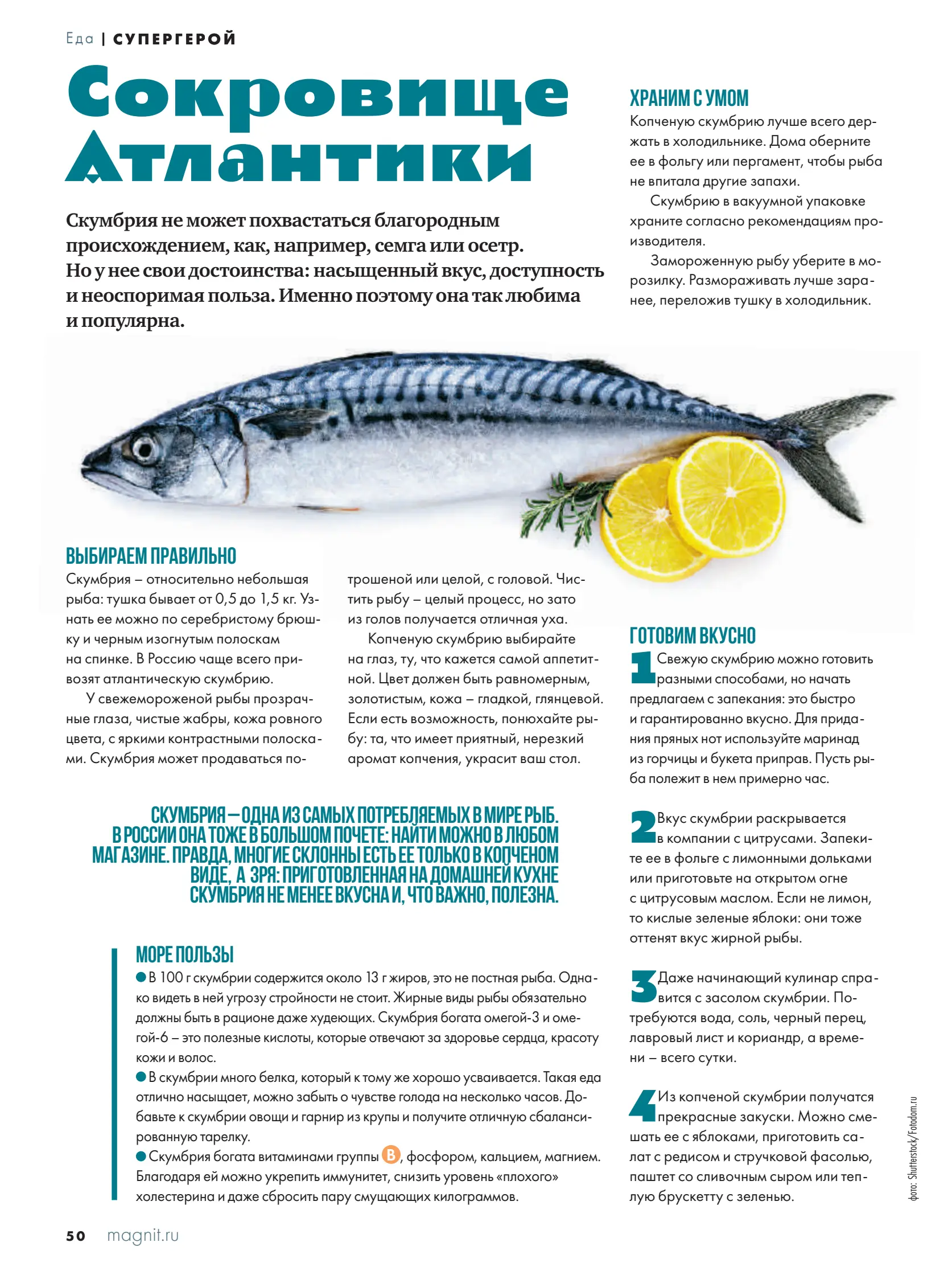 Журнал Магнит страница 51