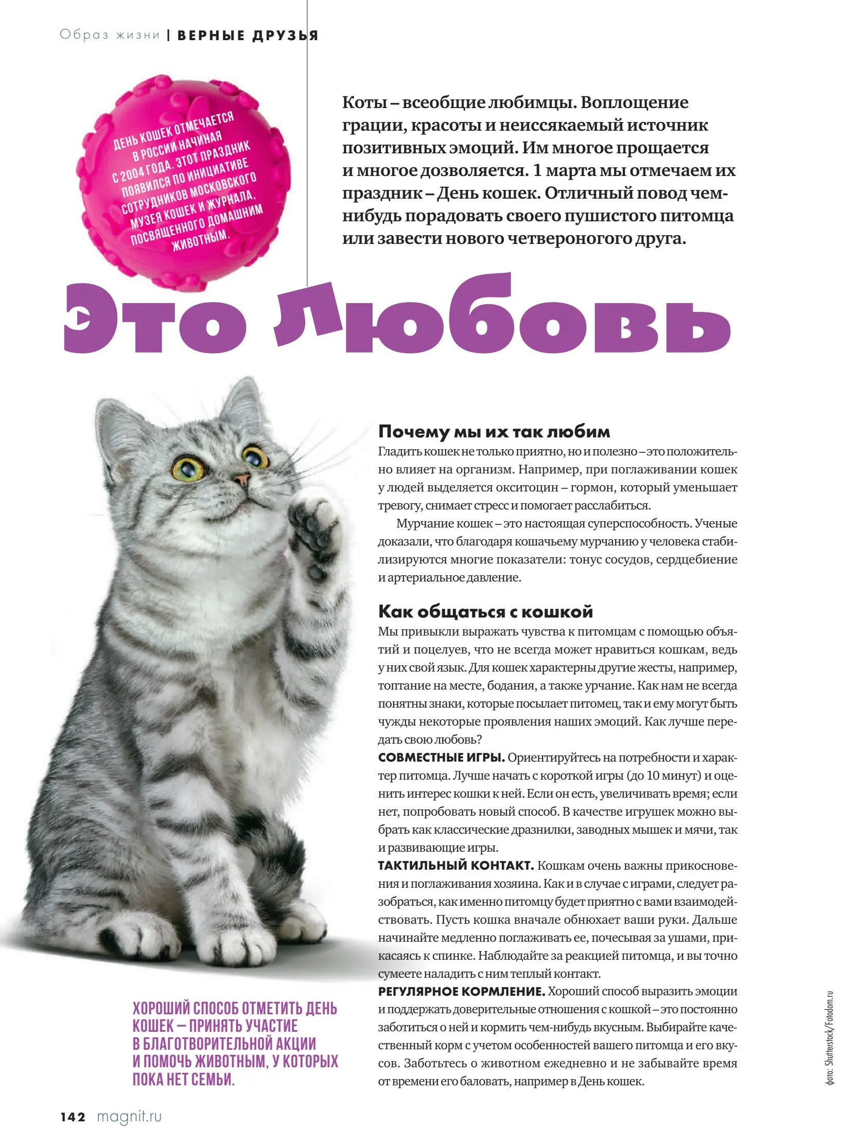 Журнал Магнит страница 143