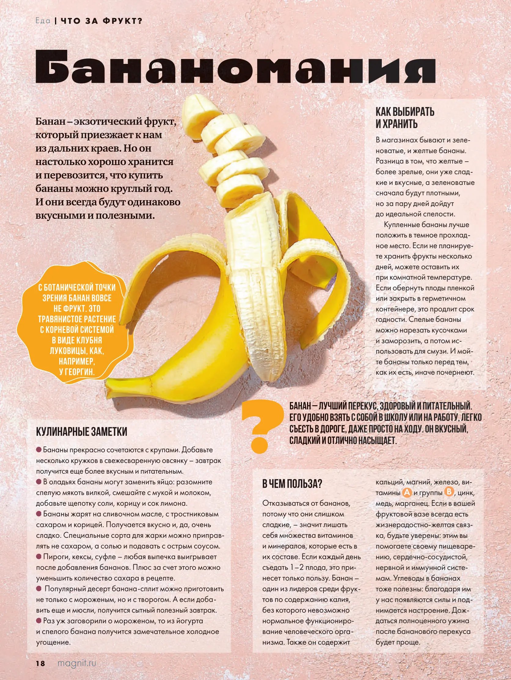 Журнал Магнит страница 19