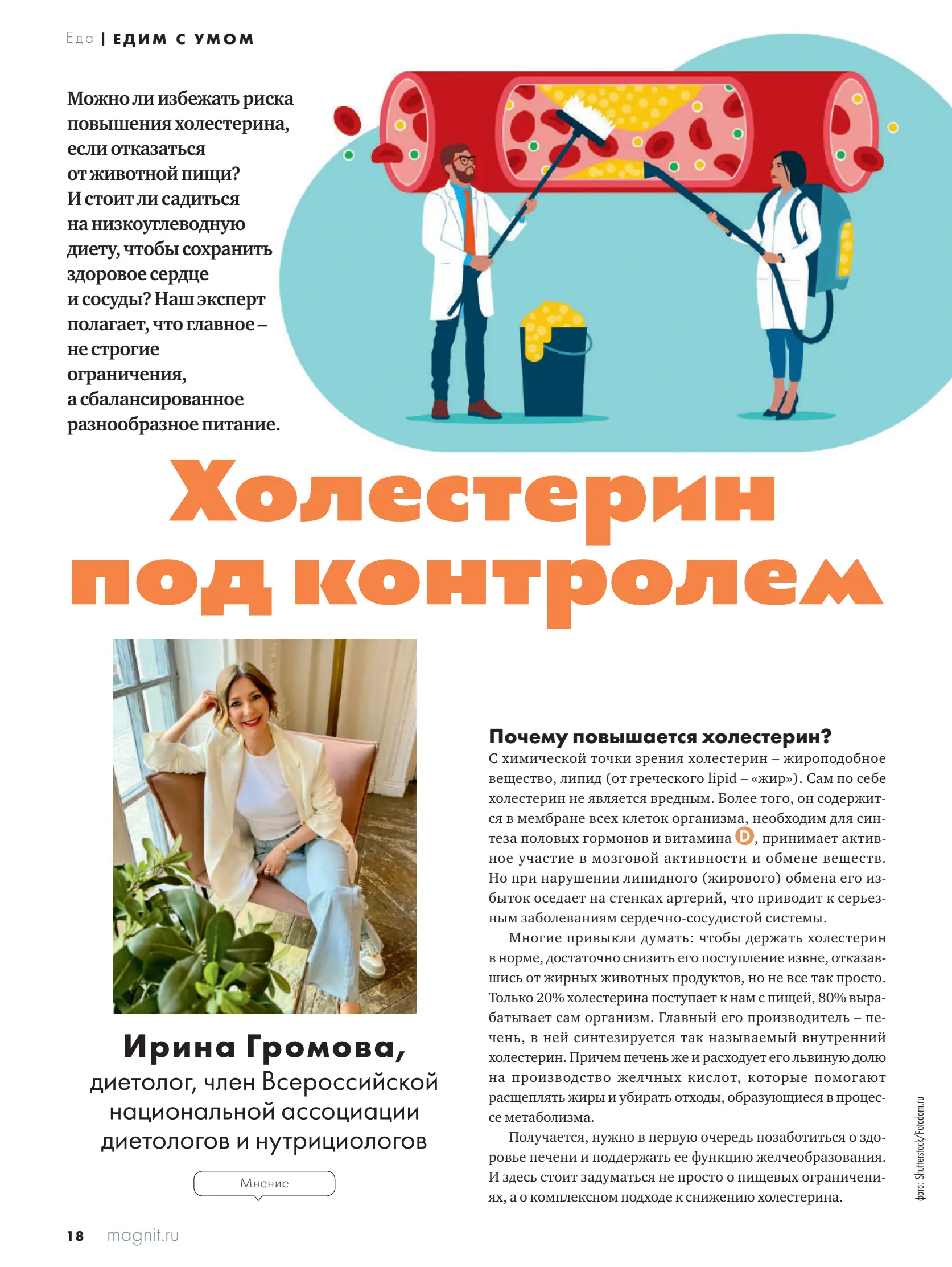 Журнал Магнит страница 19