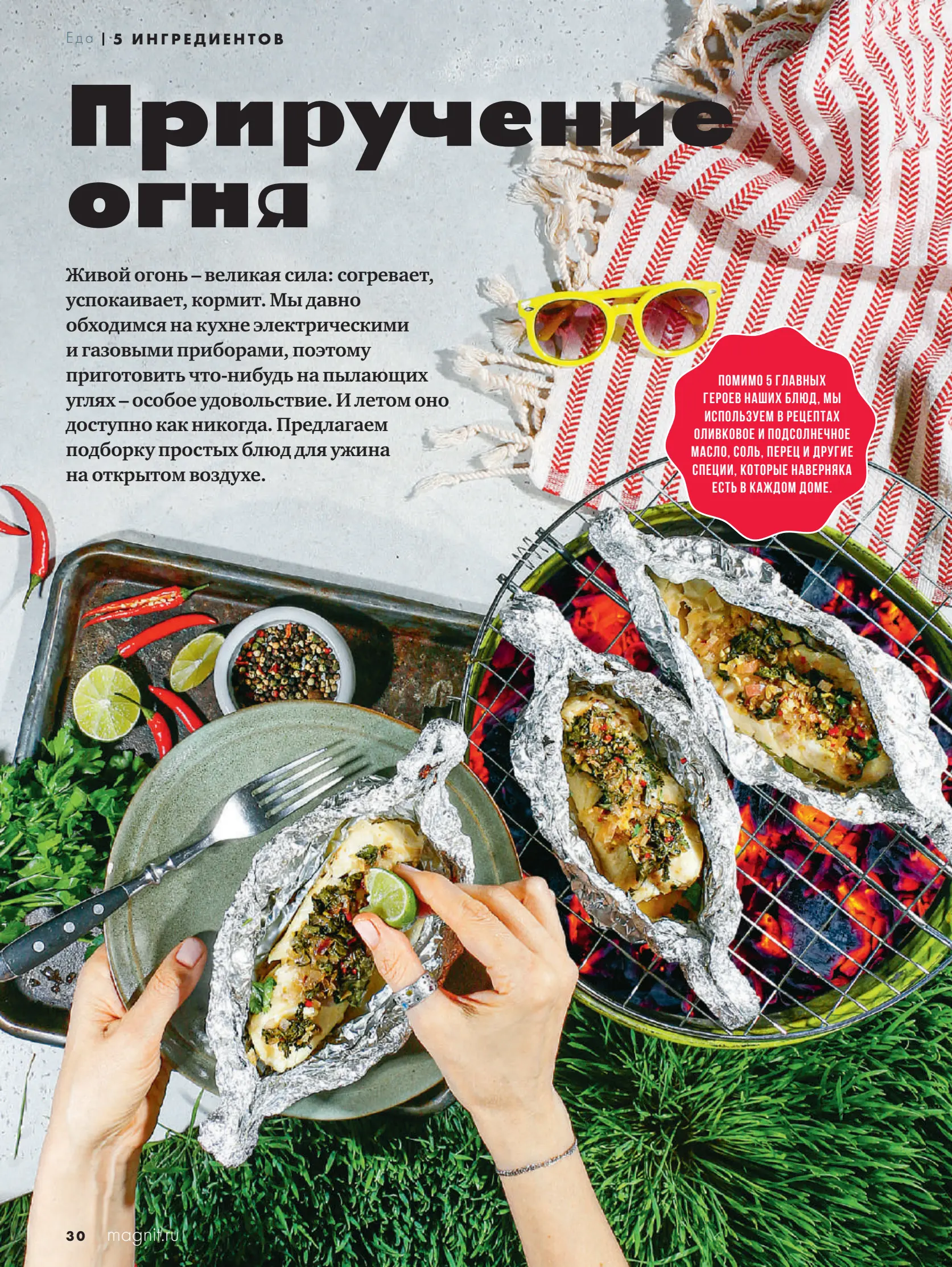 Журнал Магнит страница 31