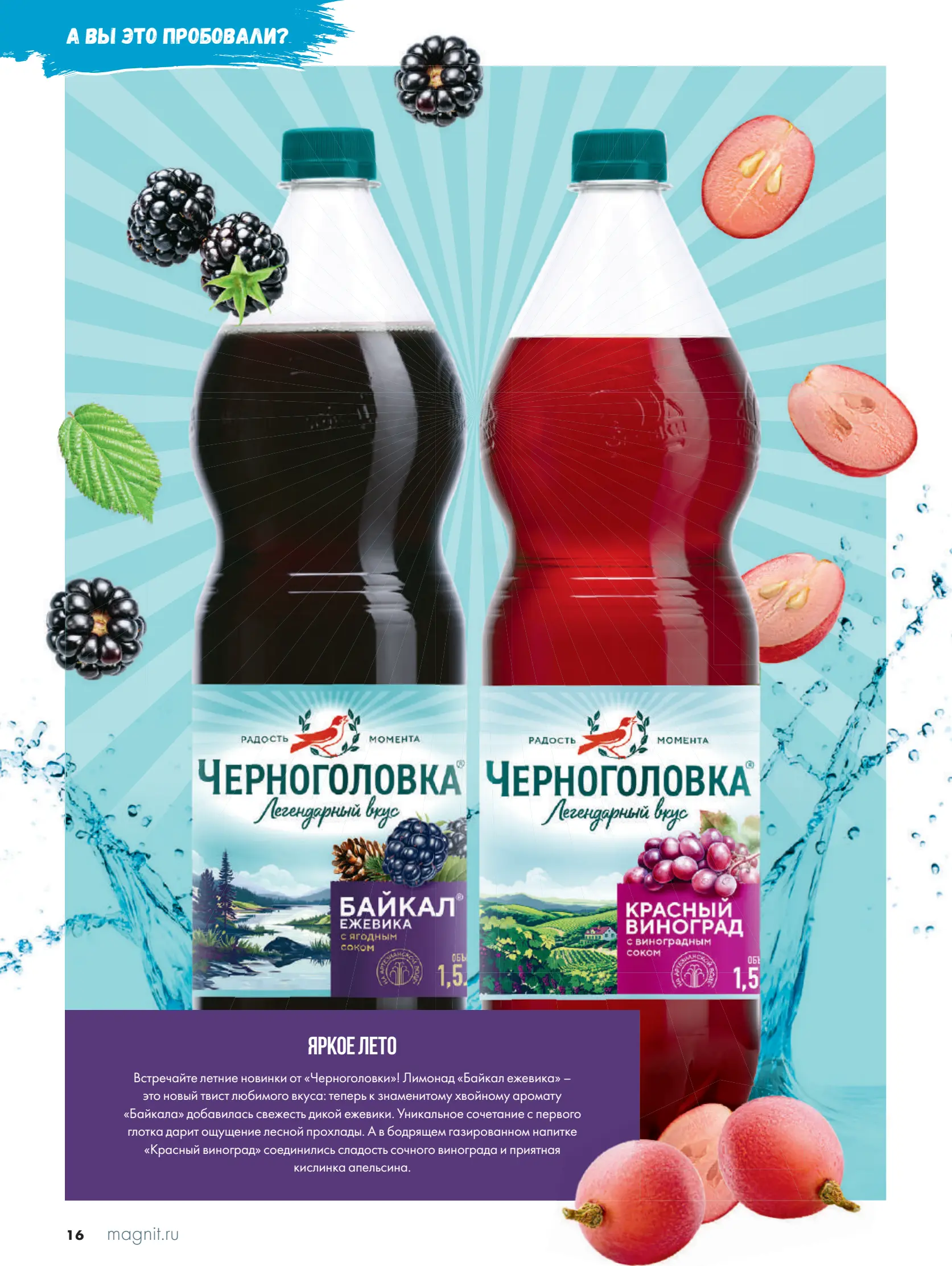 Журнал Магнит страница 17