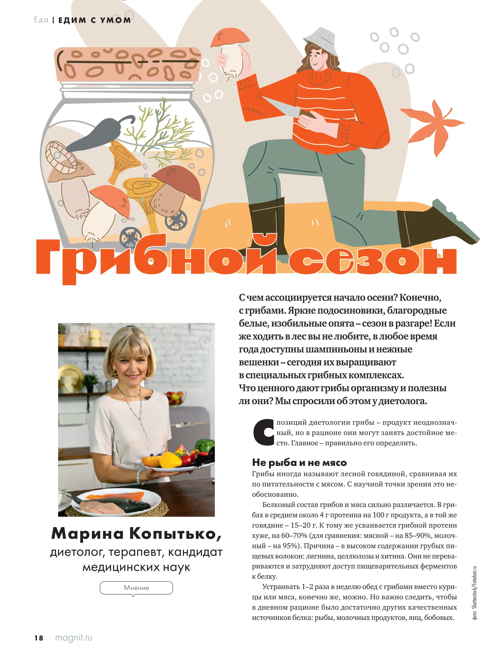 Журнал Магнит страница 19