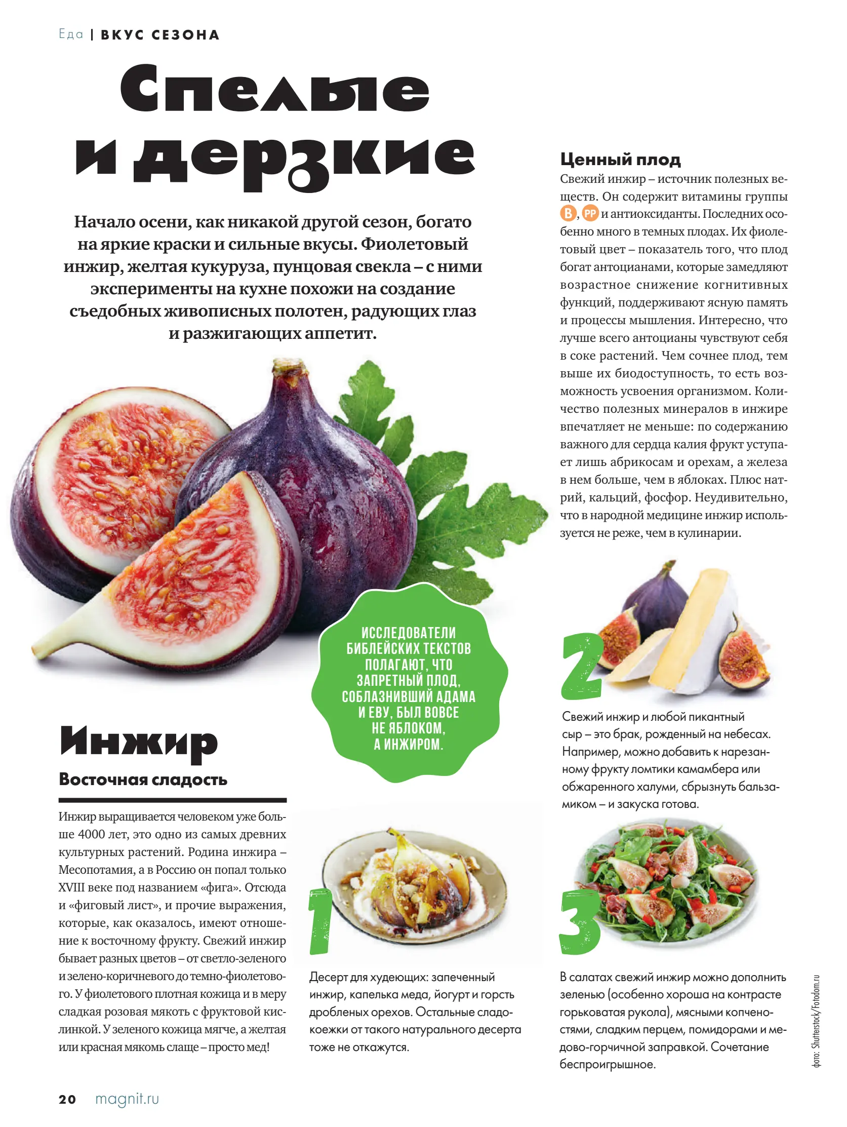 Журнал Магнит страница 21