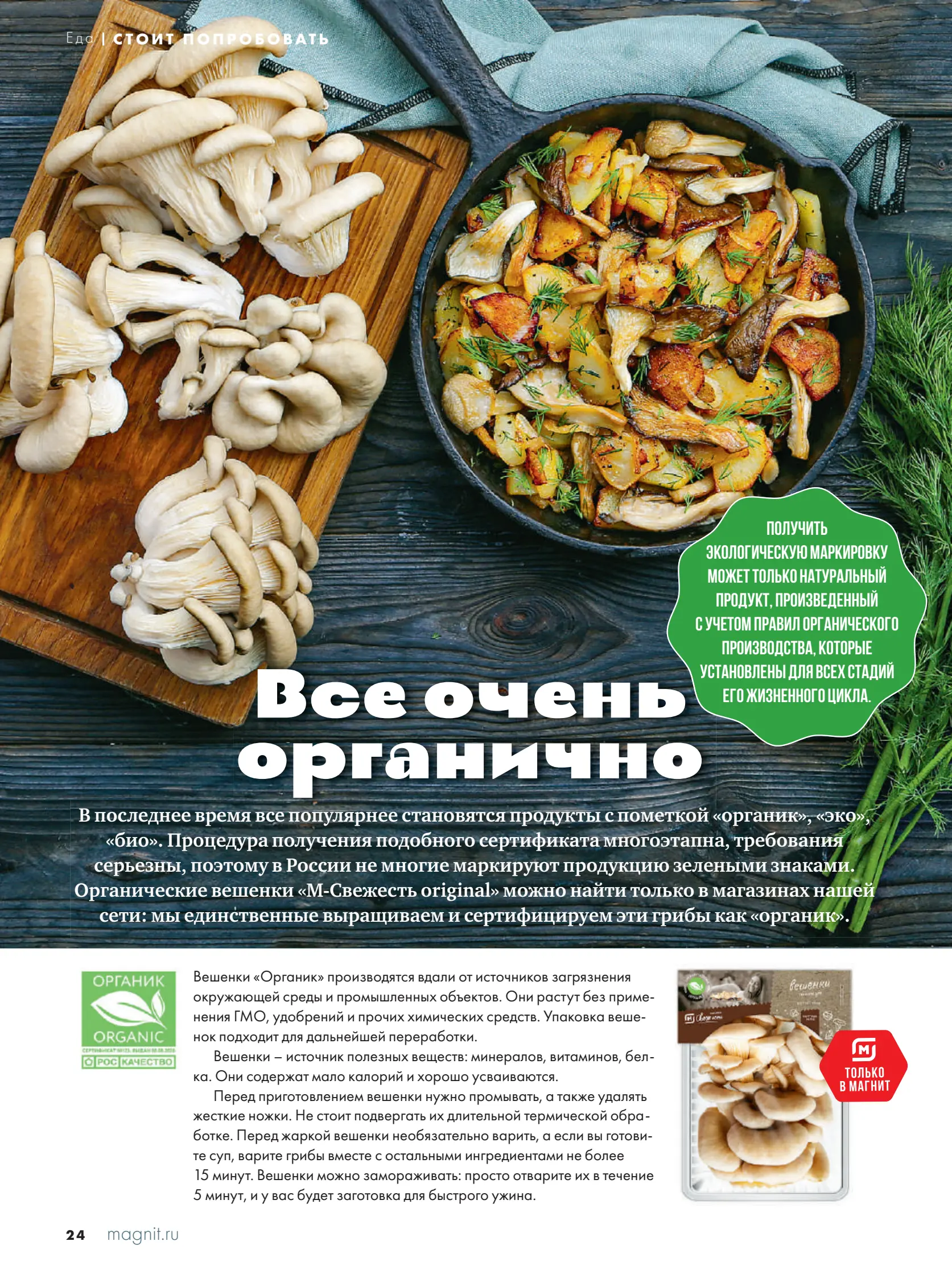 Журнал Магнит страница 25